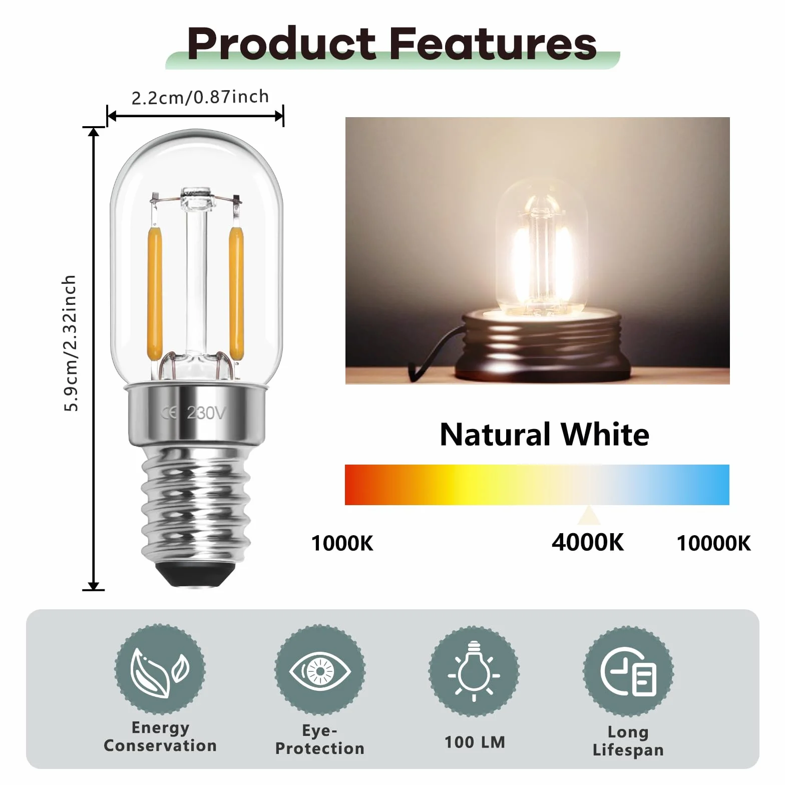 Ampoules LED E14 pour réfrigérateur Blanc naturel 4000 K T22 SES 230 V Lot de 2