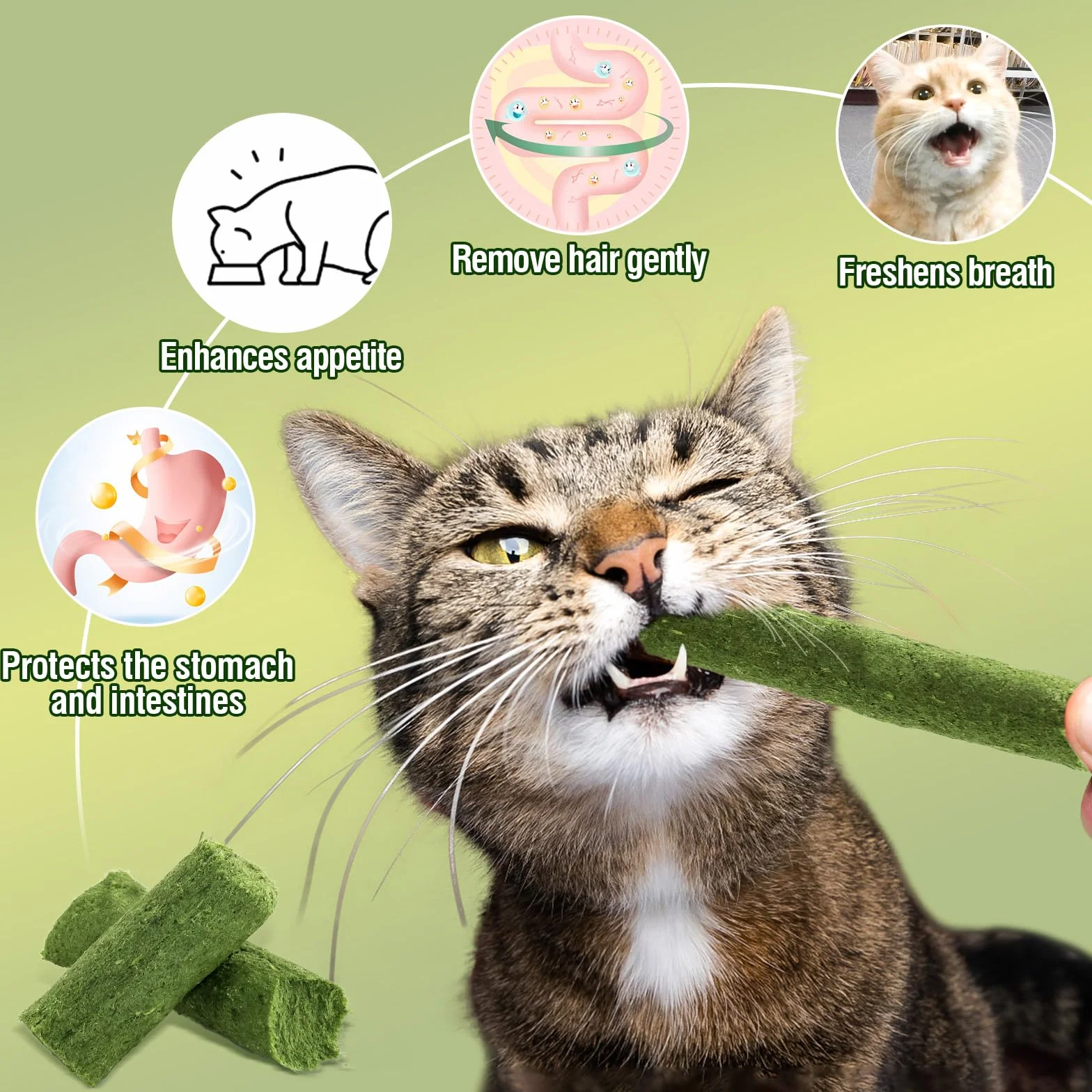 Bâton d'herbe à Chat Lyophilisé 225g, Friandises pour Chats, Nettoyage des Dents et Boules de Poils