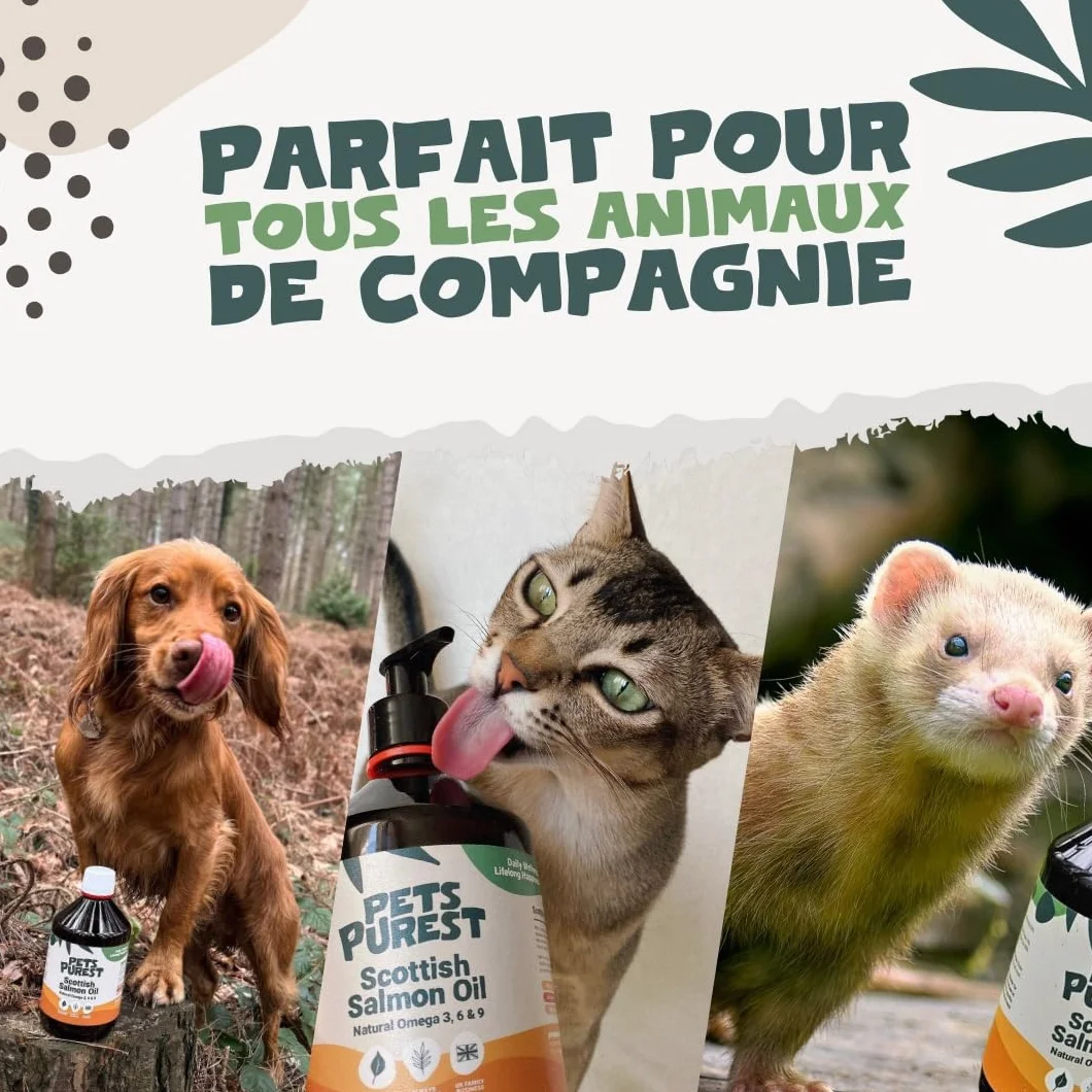 Pets Purest Huile de Saumon pour Chien et Chat 500ml Omega 3 6 9 Vitamine E