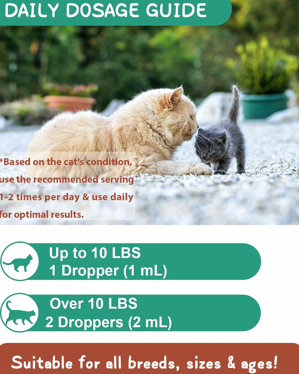 Anti Boule de Poil Chat Gouttes Anticrêpe 60ML avec Catnip et Vitamines