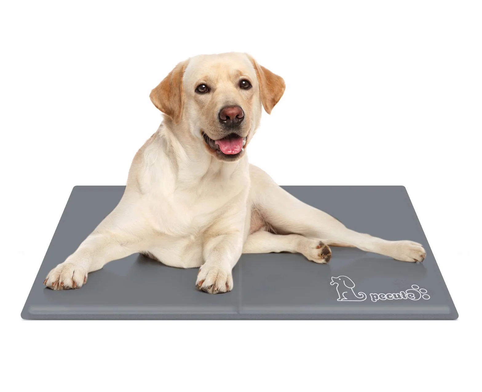 Pecute Tapis Rafraichissant Chien Chat 65x50cm M Résistant Aux Rayures Gris