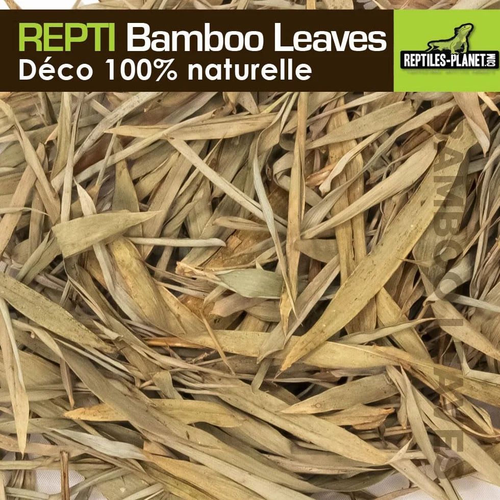 REPTILES PLANET Repti Bamboo Leaves Feuilles de Bambou Naturelles 2 litres Marron Clair