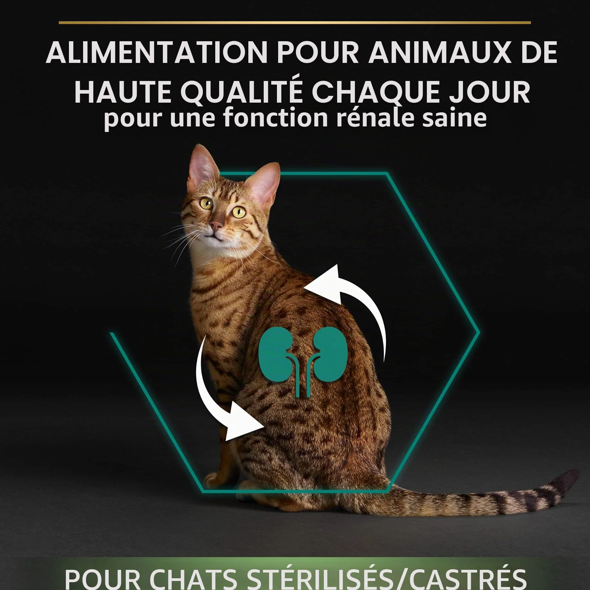 PURINA PRO PLAN Renal Plus Croquettes pour Chat Adulte Stérilisé au Saumon 1,5kg