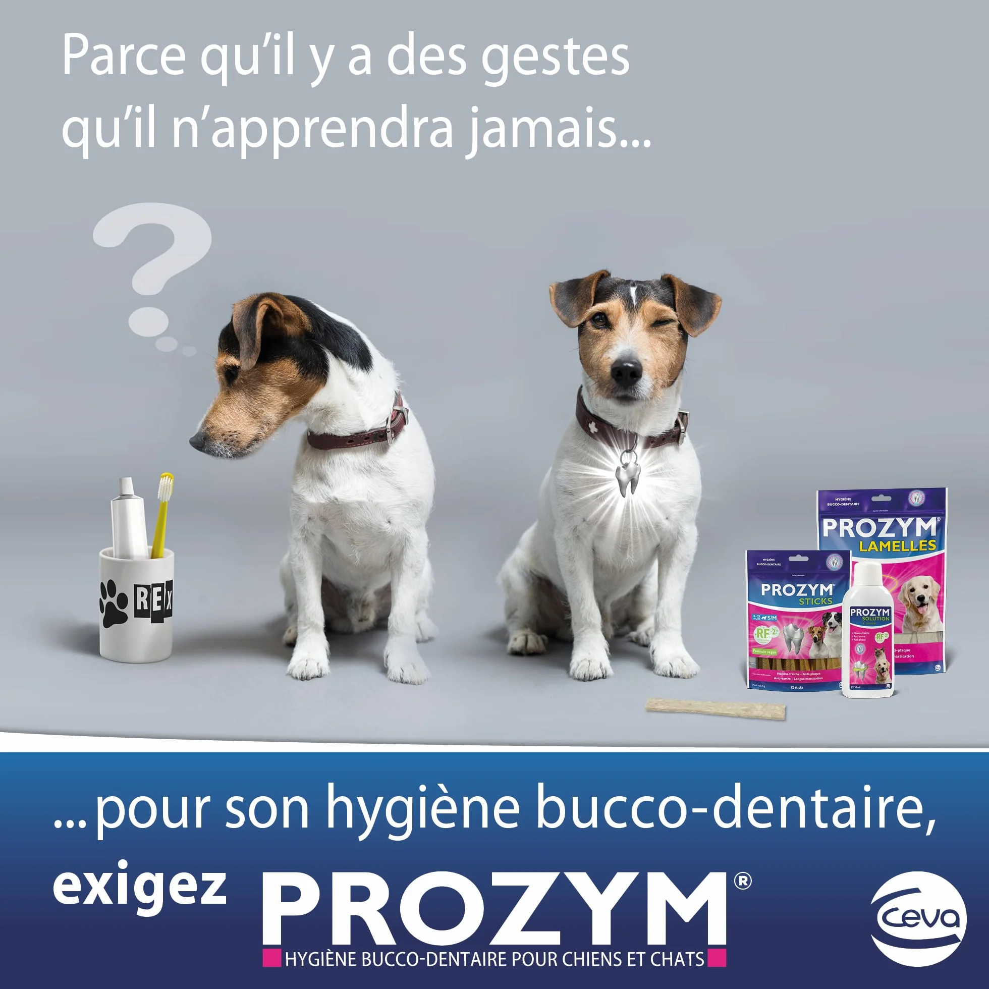 Prozym Solution Dentaire Chiens Chats Anti-tartre Haleine fraîche
