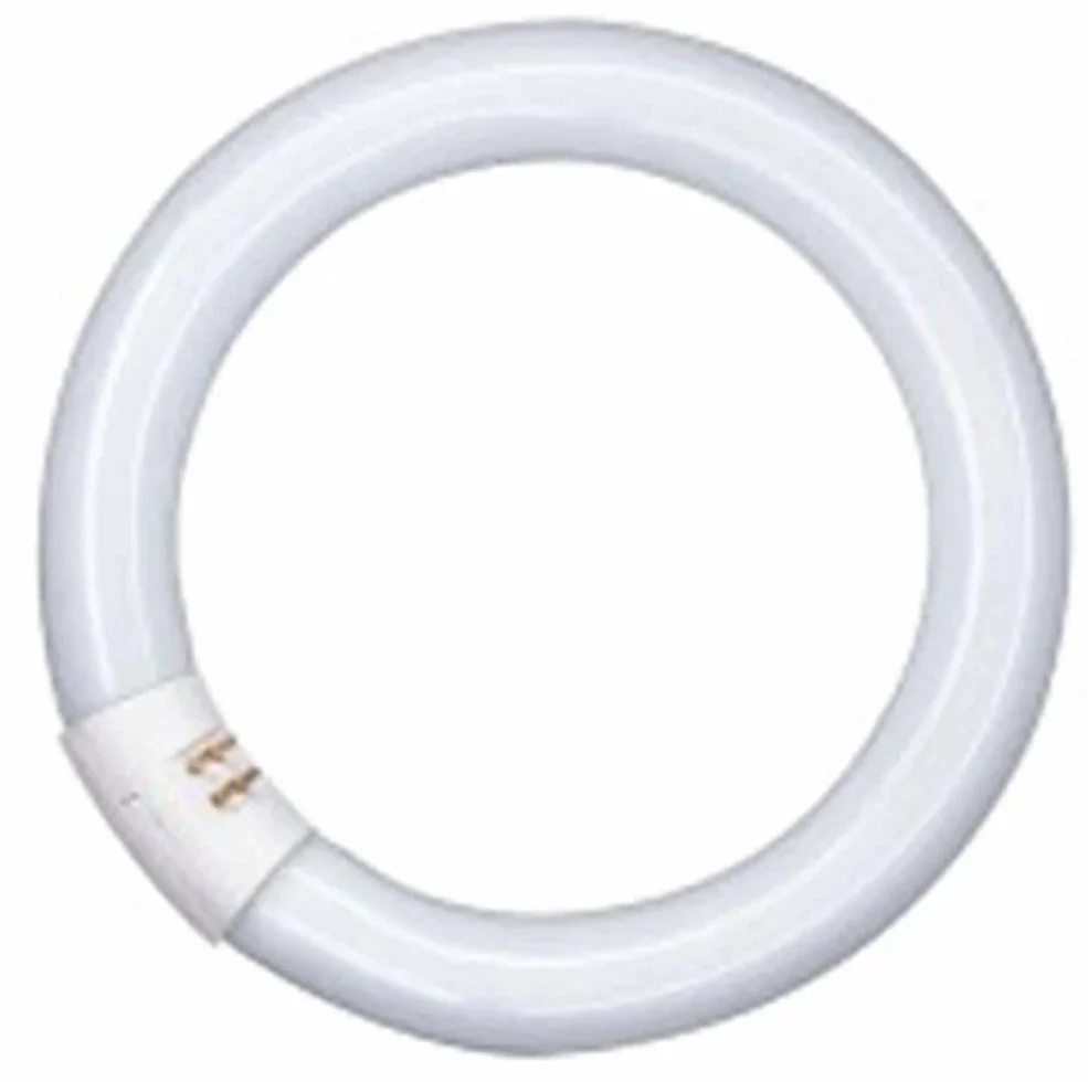 Osram Lumilux T9 C Lampe Fluorescente 22W 1250lm G10Q 4000K