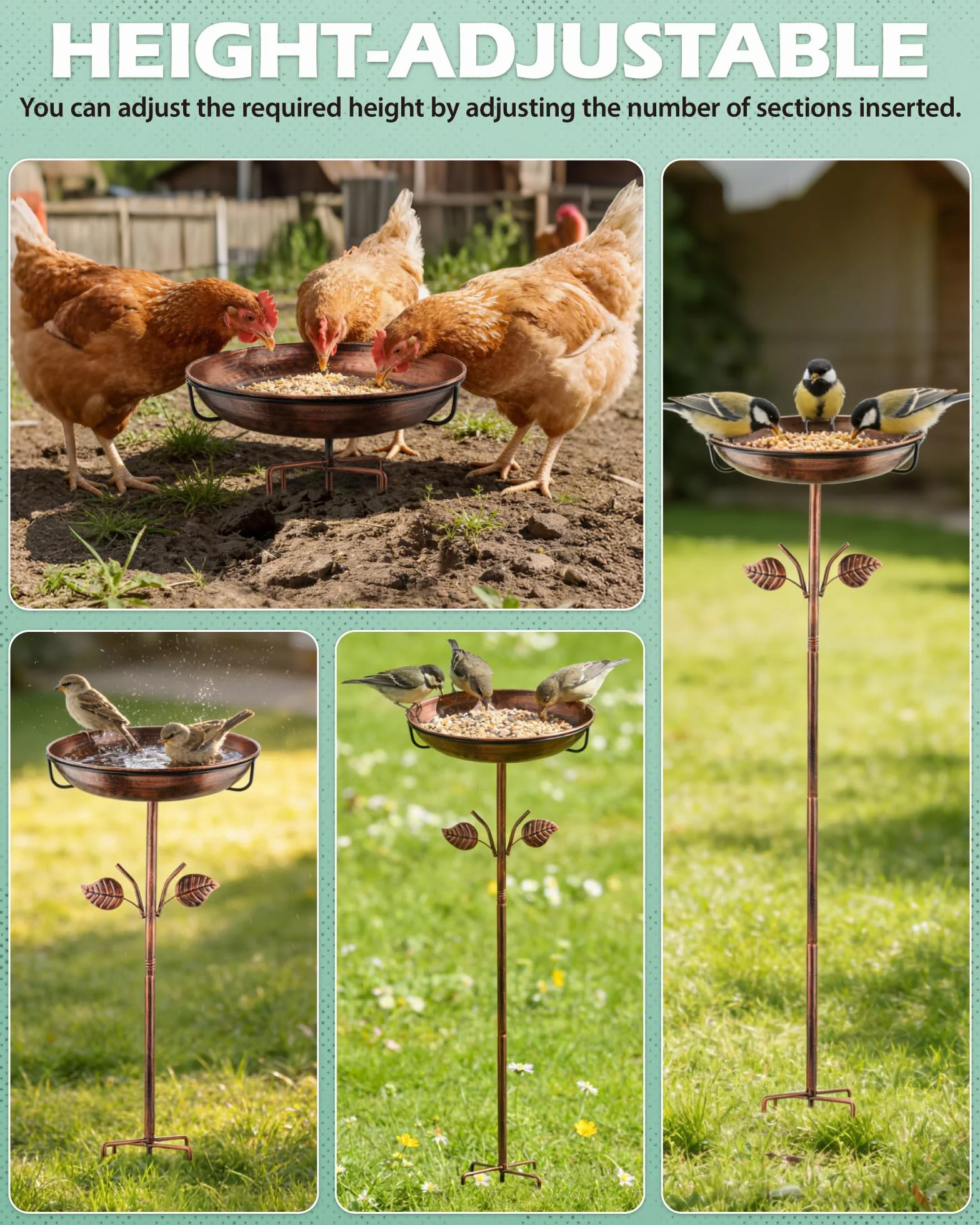 Bain d'oiseau en métal pour extérieur avec bol alimentateur 5 pinces