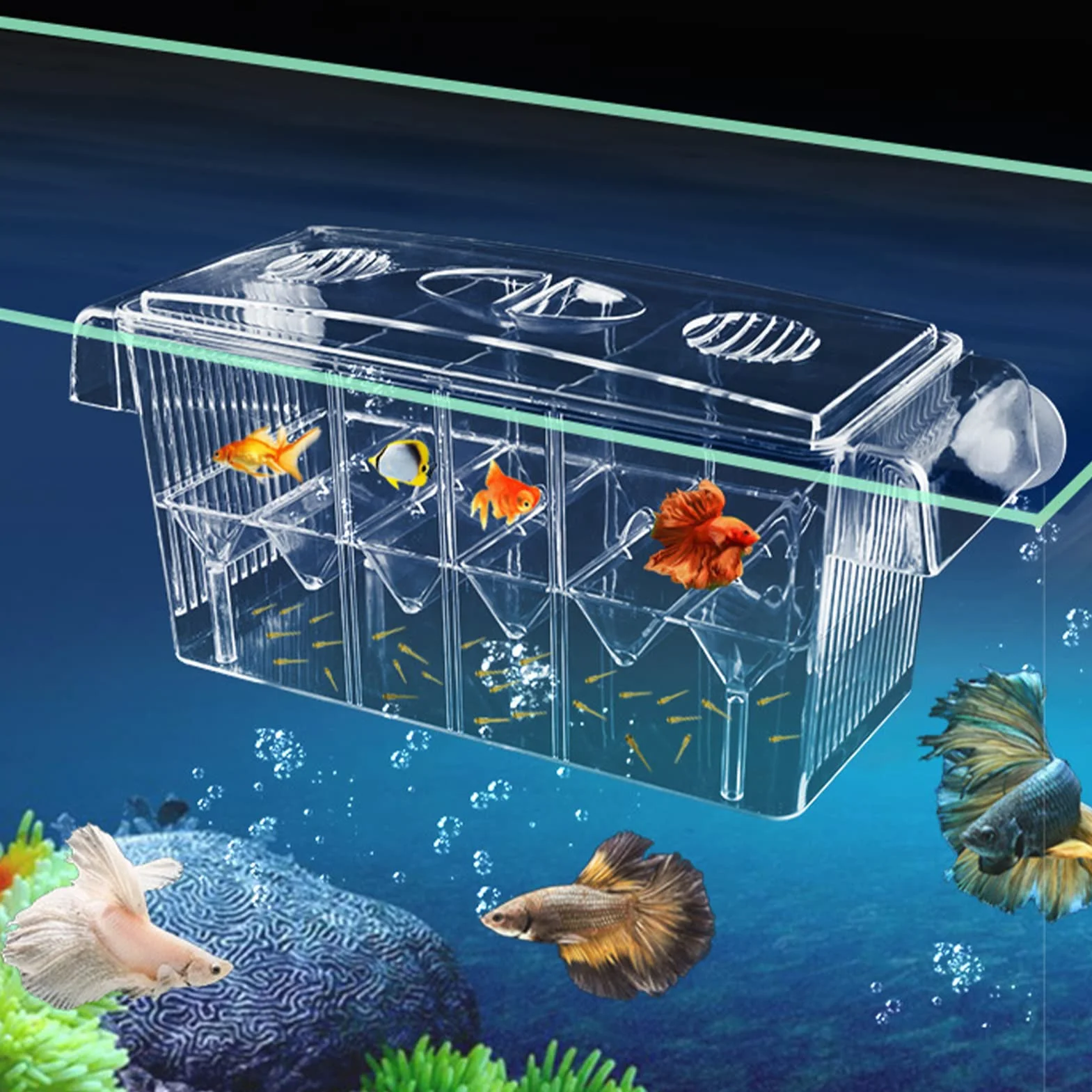 Aquarium Boîte Couveuse Double Couche Transparent pour Petits Poissons Crevettes Guppy