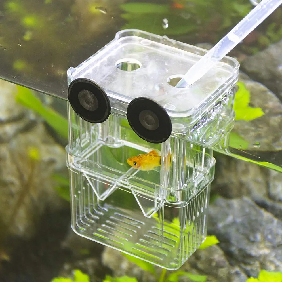 SENZEAL Boîte d'élevage de poisson flottante avec pipettes pour aquarium