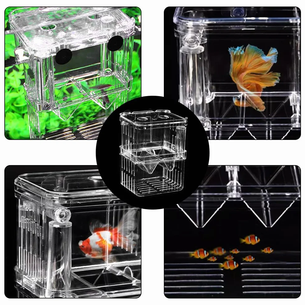 Boîte d'élevage aquarium crevettes ventouses 100 x 70 x 130 mm