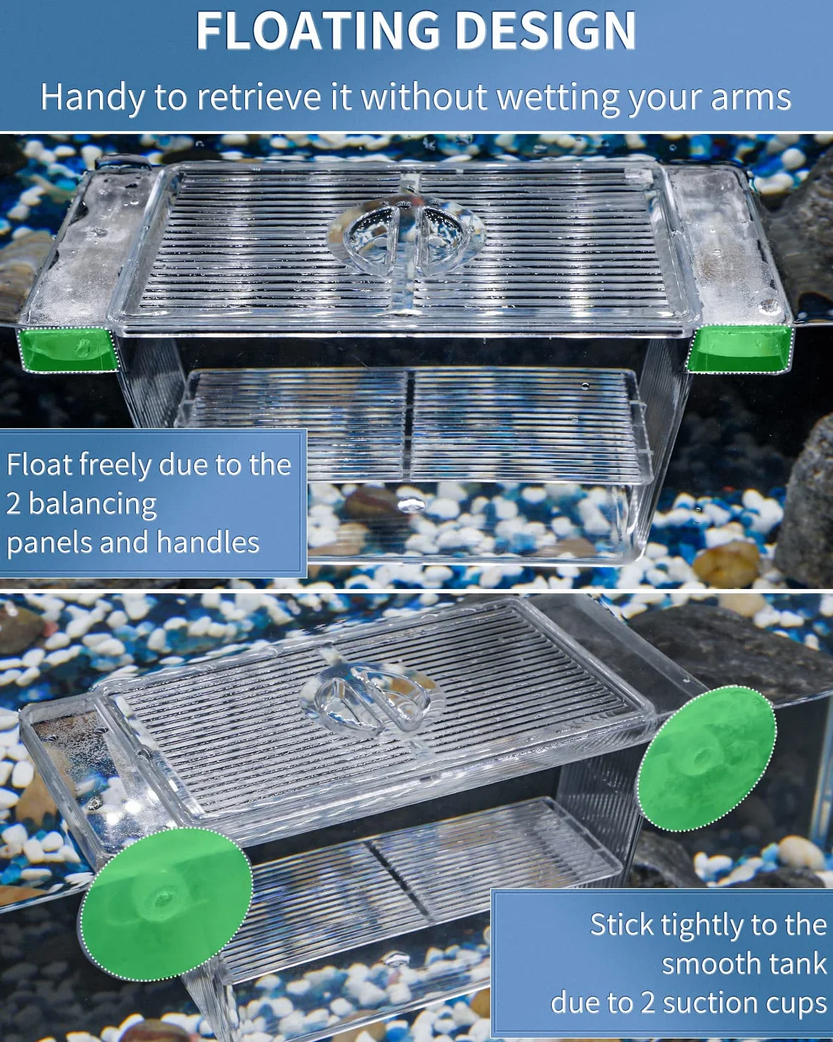 Pawfly Boîte d'Incubation pour Poissons d'Aquarium en Acrylique avec Ventouses