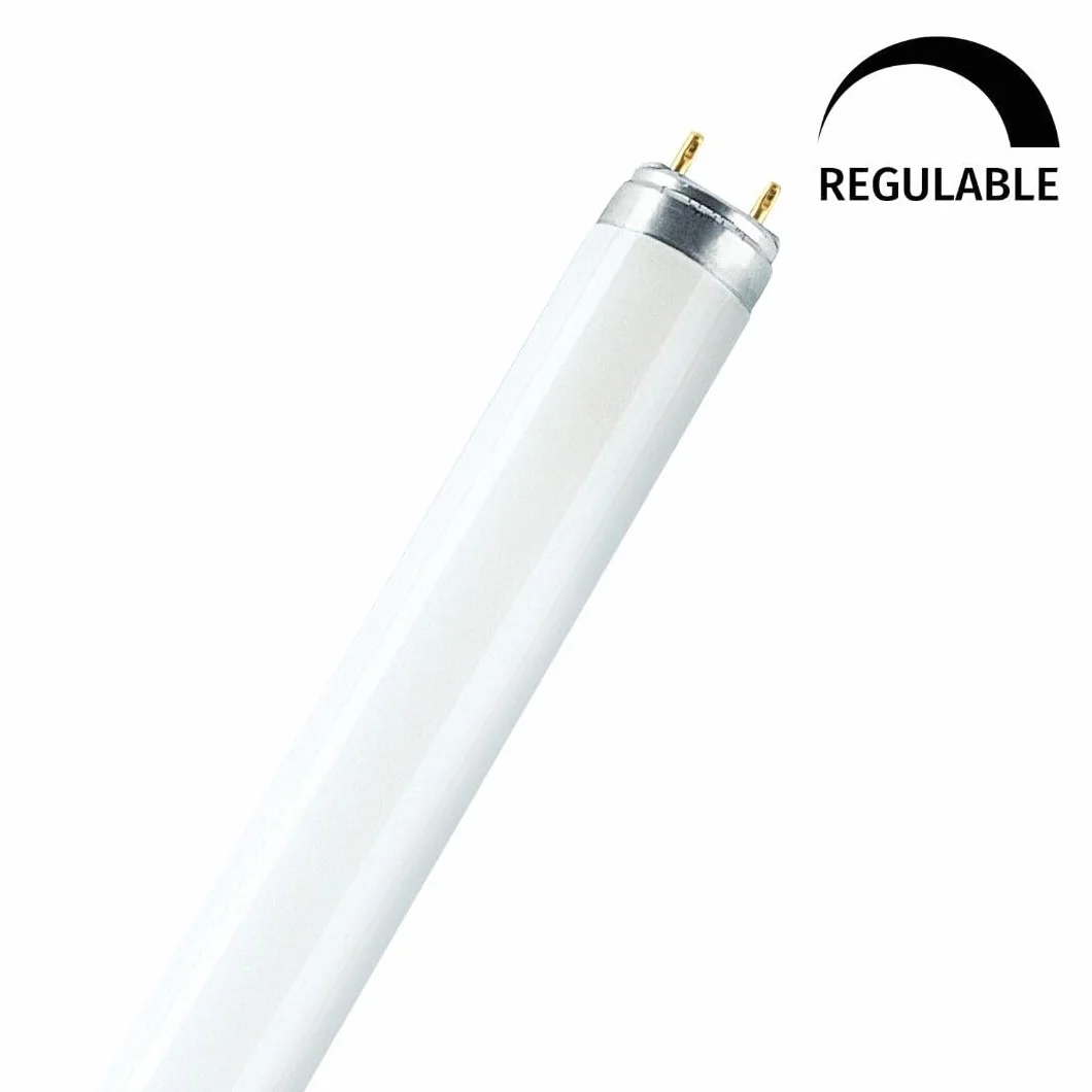 Tube fluorescent T8 36W 6500K 1200 mm éclairage commercial domestique blanc froid