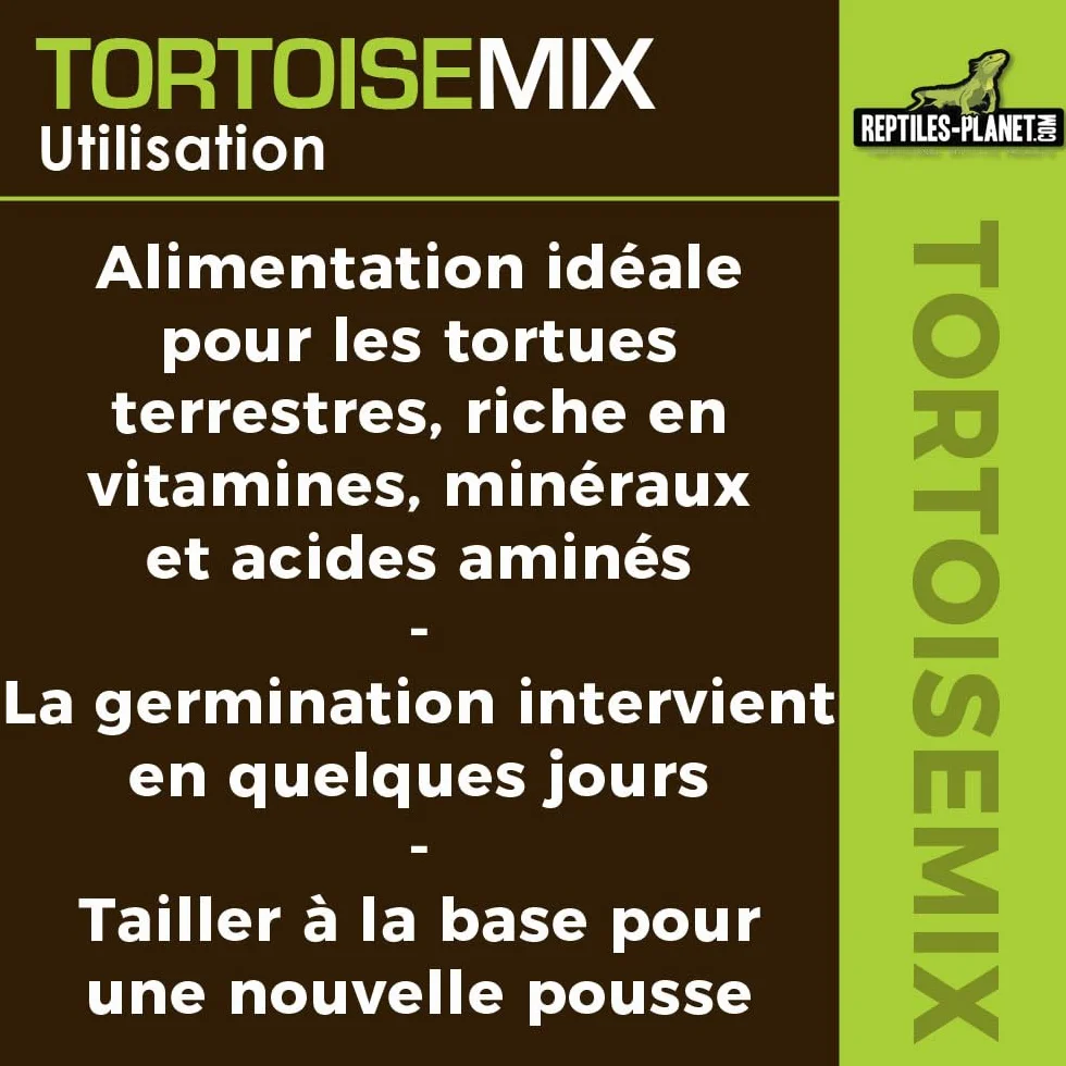 Reptiles Planet Tortoisemix Mélange de Graines à Germer Nourriture pour Tortues Terrestres