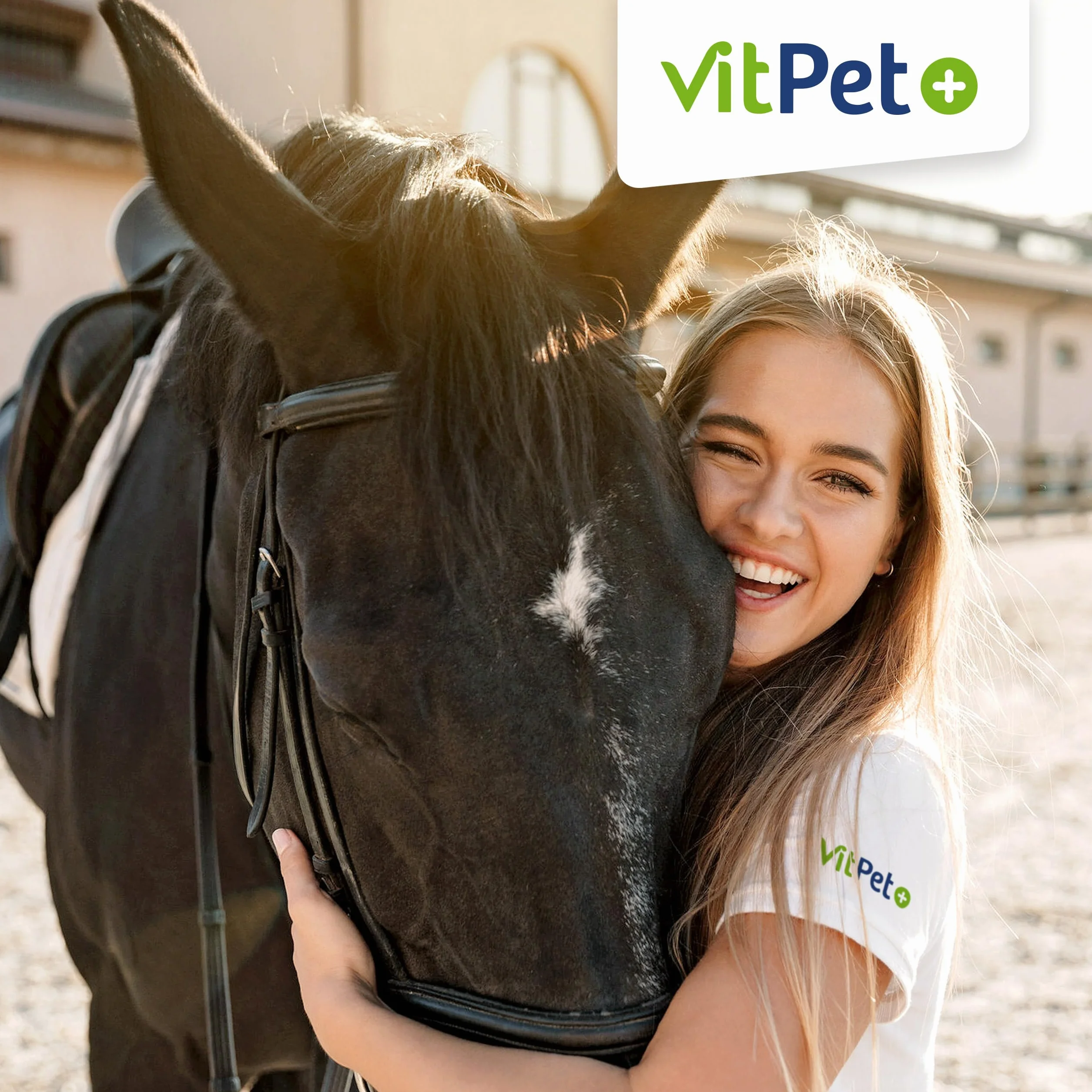 PneumoVit Cheval contre la toux 1,2 kg Eucalyptol Naturel Soutien respiratoire immunitaire Expectorant apaisant