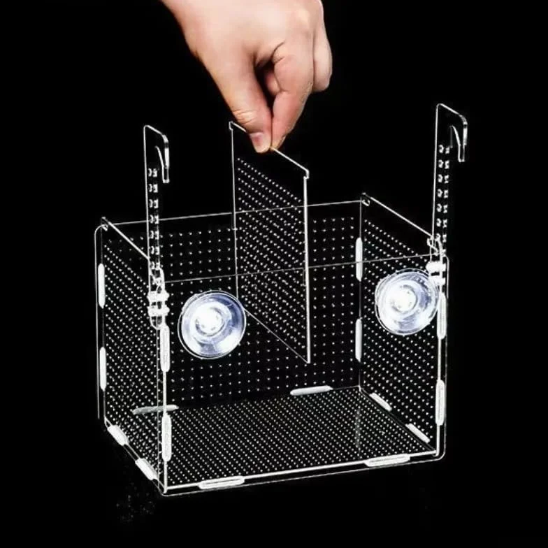 Boîte d'élevage de poissons en acrylique transparent – Réservoir d'isolation et piège à frai pour aquarium