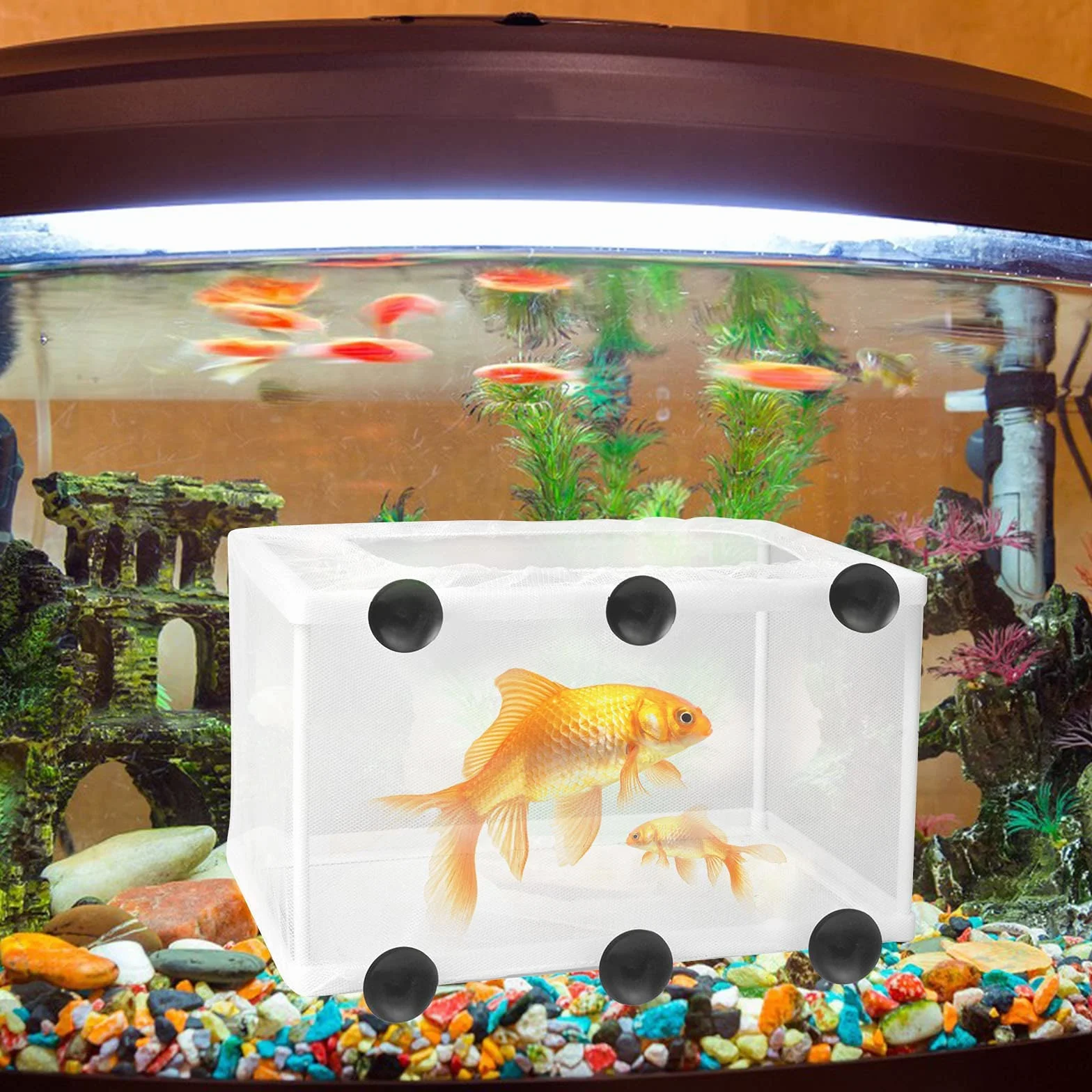Boîte d'isolation de Poisson pour Aquarium, Filet d'écloserie Grande Taille, Incubateur à Poissons avec Ventouses 26,2x15x15cm