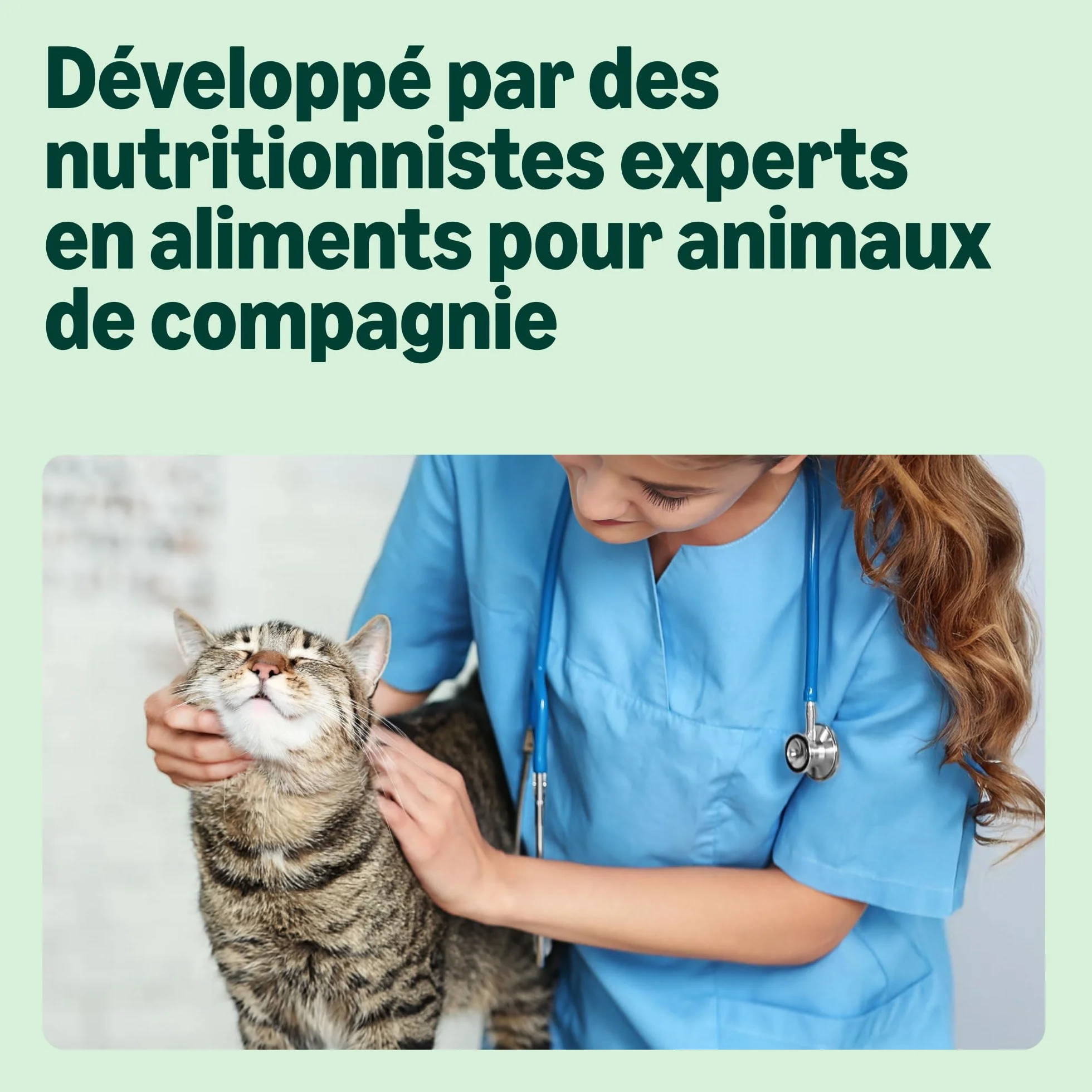 Amazon Nourriture complète sans céréales pour Chats Adultes, sélection variée en gelée, 4,8 kg (48 Paquets de 100 g)