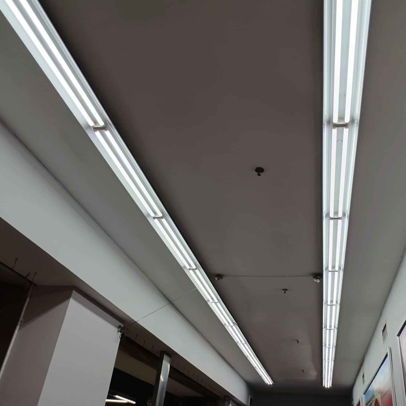 Tube LED T5 54,9cm 12W 1550lm Blanc Neutre 4000K Remplaçage Fluorescent 24W Compatible EVG G5