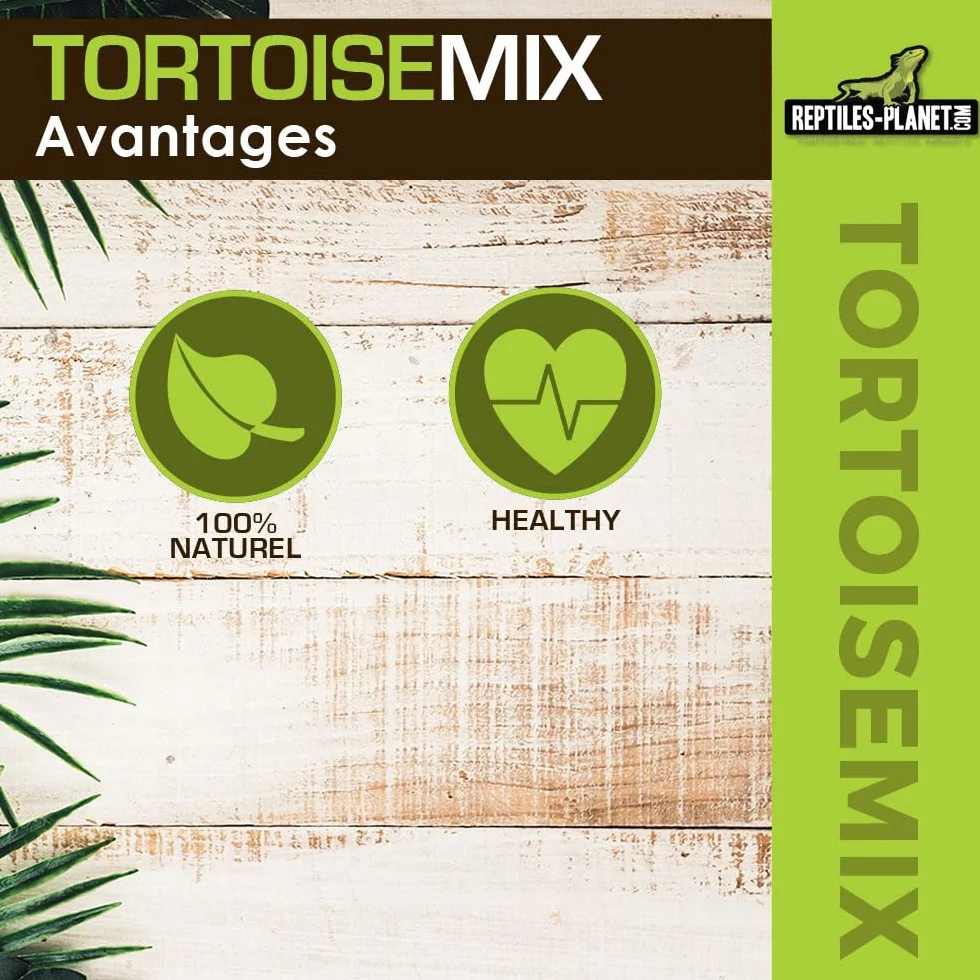 Reptiles Planet Tortoisemix Mélange de Graines à Germer Nourriture pour Tortues Terrestres