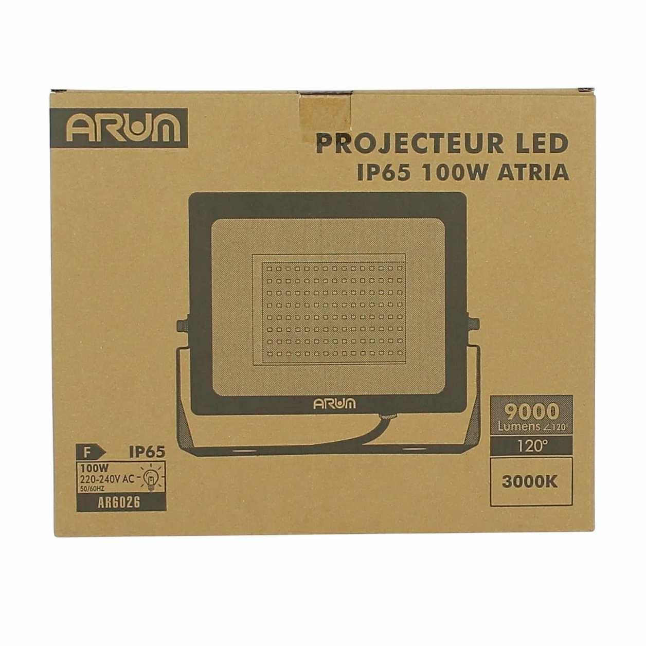 Arum Lot de 2 Projecteurs LED 100W Extérieur Blanc Naturel 4000K IP65