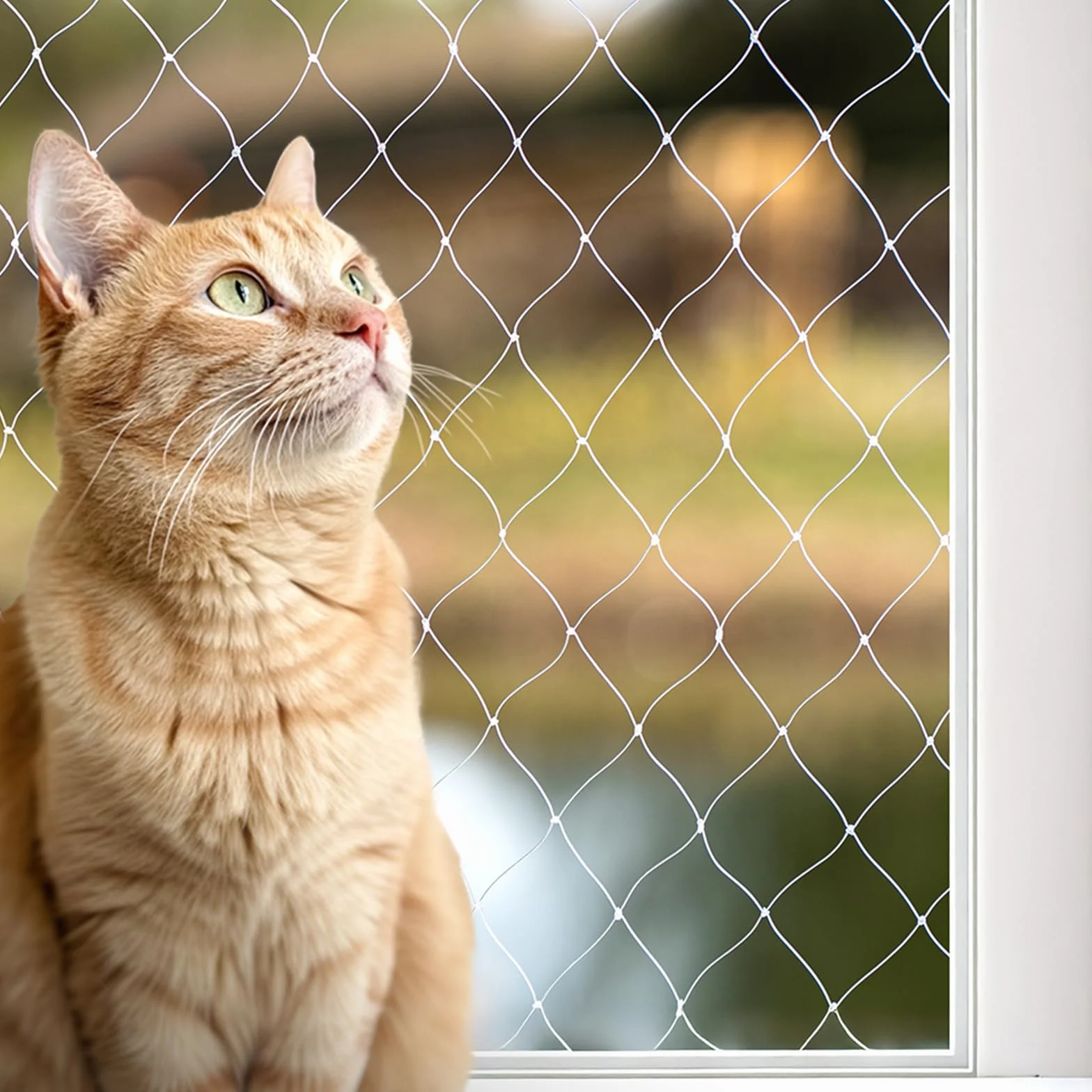 Filet de Protection pour Balcon pour Chats, Nylon Transparent 3x4 m, Résistant aux Intempéries, Installation sans Perçage