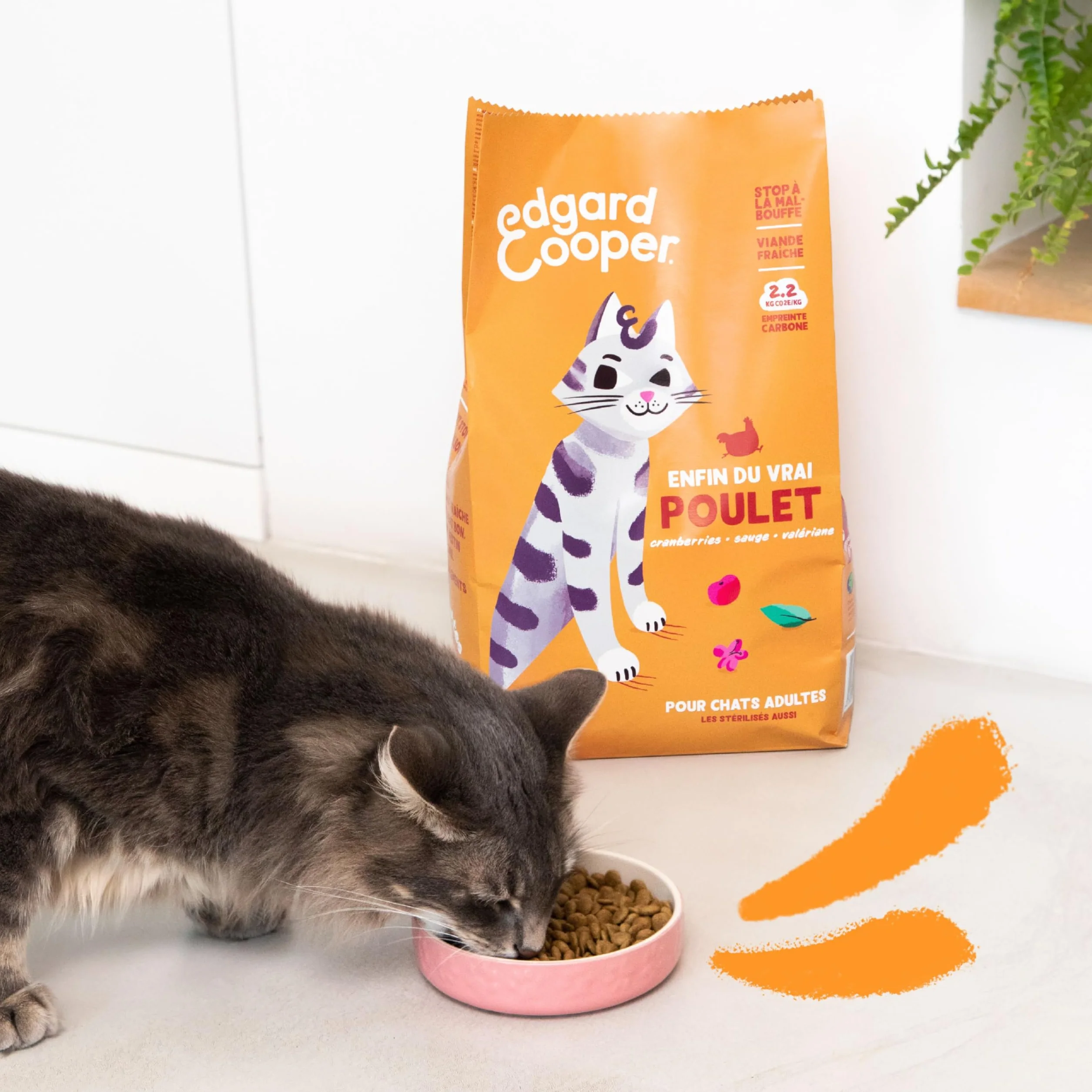 Edgard Cooper Croquettes pour Chat Stérilisé Adulte Poulet 2kg Sans céréales Riche en protéines