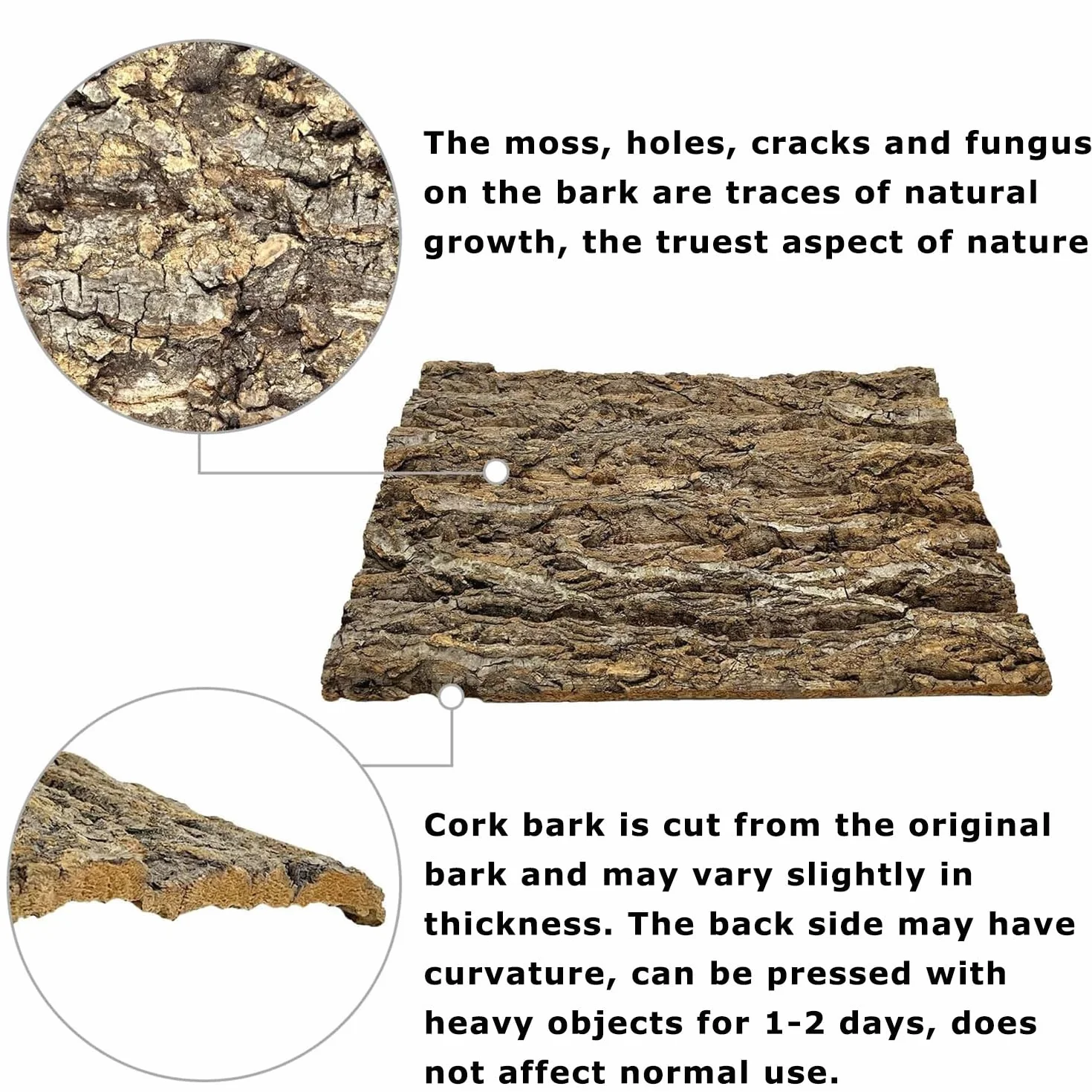 Lot de 2 Parois Arrière en Écorce de Liège pour Terrarium 15 x 20 cm Fond Naturel pour Reptiles