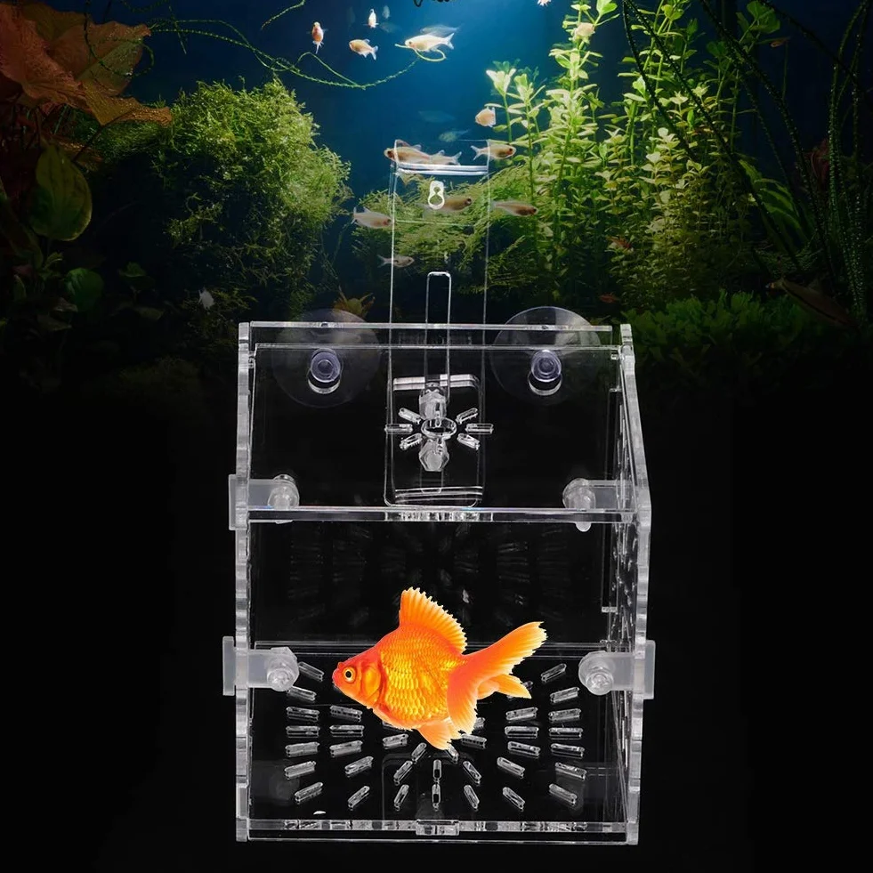 Fabater Boîte d'élevage de Poissons Non Toxiques, Aquarium Éclosion Suspendue 10x10x10 cm