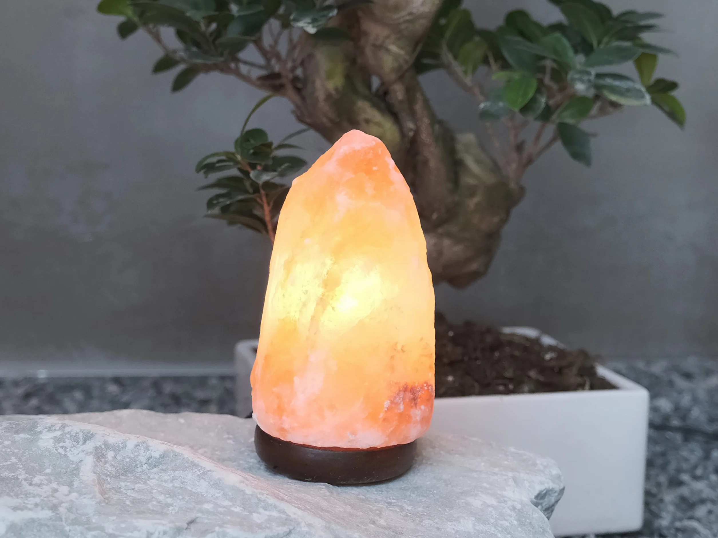 BEPER P201UTP100 Lampe de Sel de l'Himalaya Naturelle Faite à la Main avec Base en Bois Rose