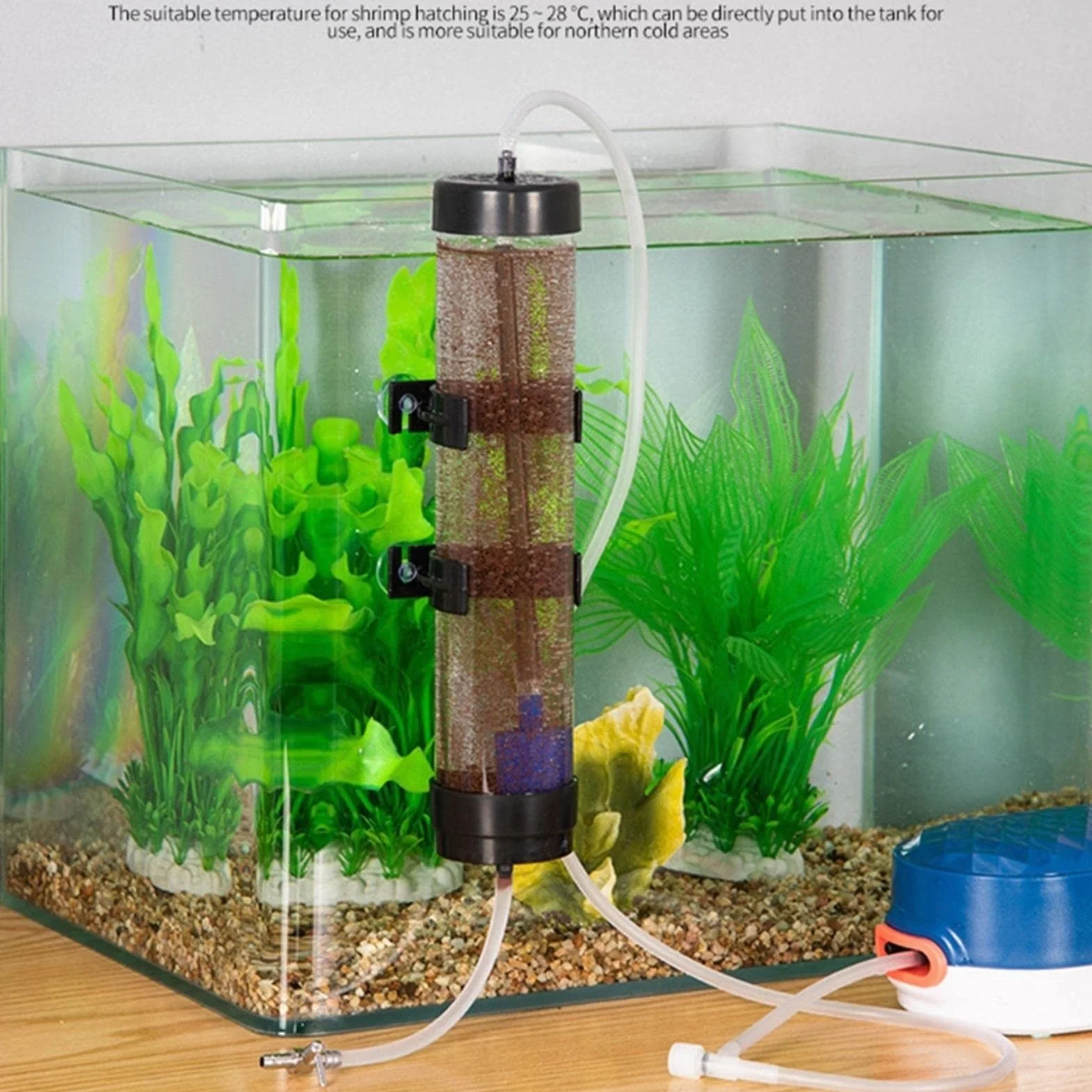 Écloserie d'œufs d'Artemia Incubateur pour Aquarium