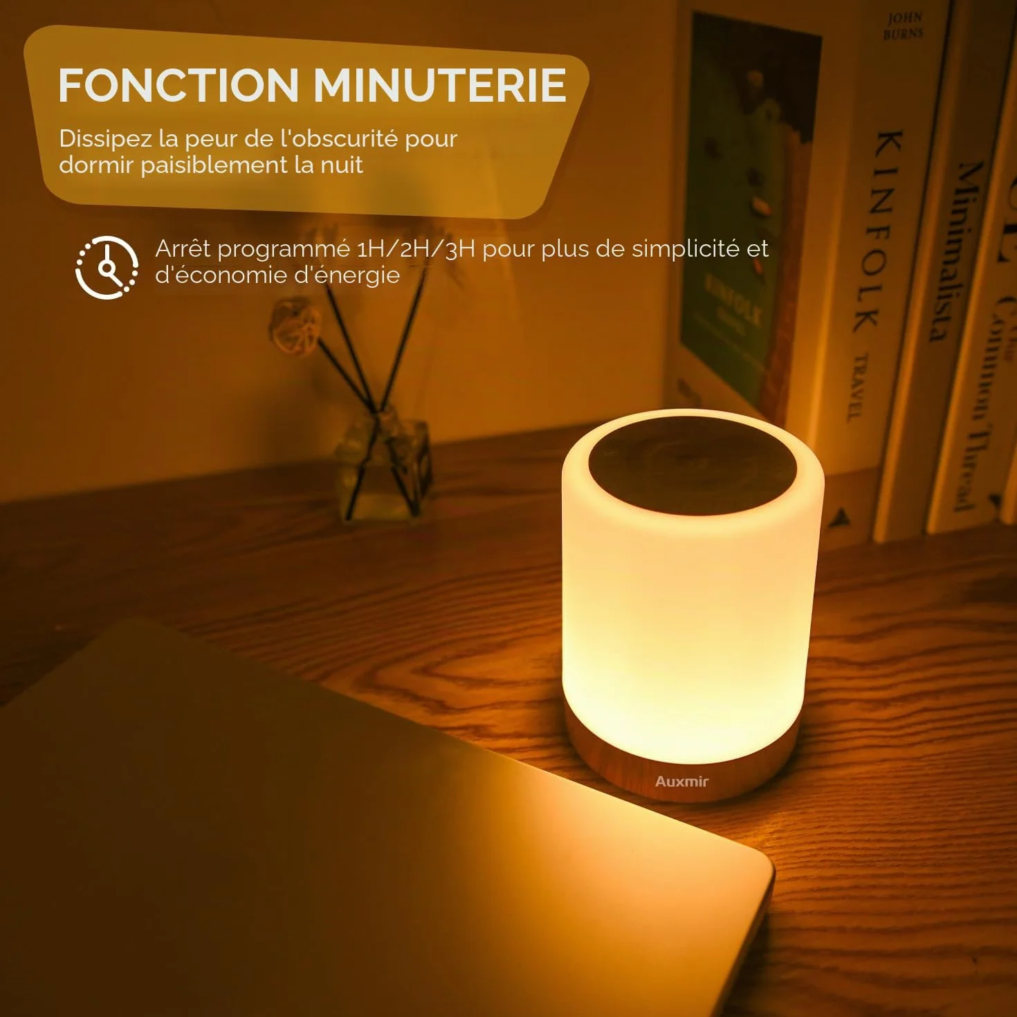 Auxmir Lampe de Chevet LED 256 Couleurs RVB, Veilleuse sans Fil avec Minuteur, 3000mAh Rechargeable USB