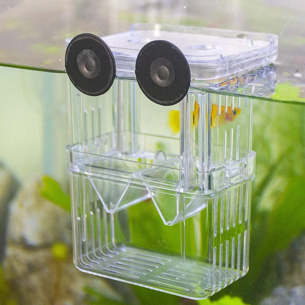 SENZEAL Boîte d'élevage de poisson flottante avec pipettes pour aquarium