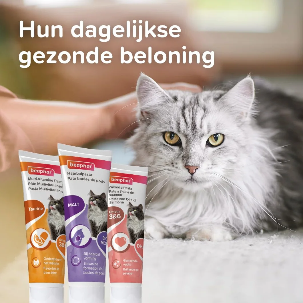 BEAPHAR Pâte Anti Boules de Poils au Malt pour Chat 100 g