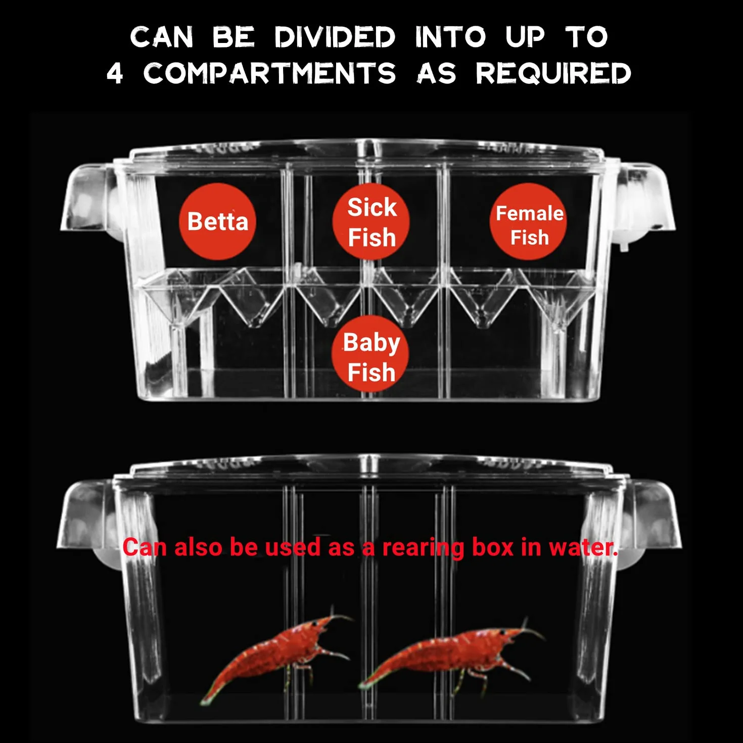 Boîte d'élevage de poissons d'aquarium acrylique ventouses écloserie isolement guppy tropicaux