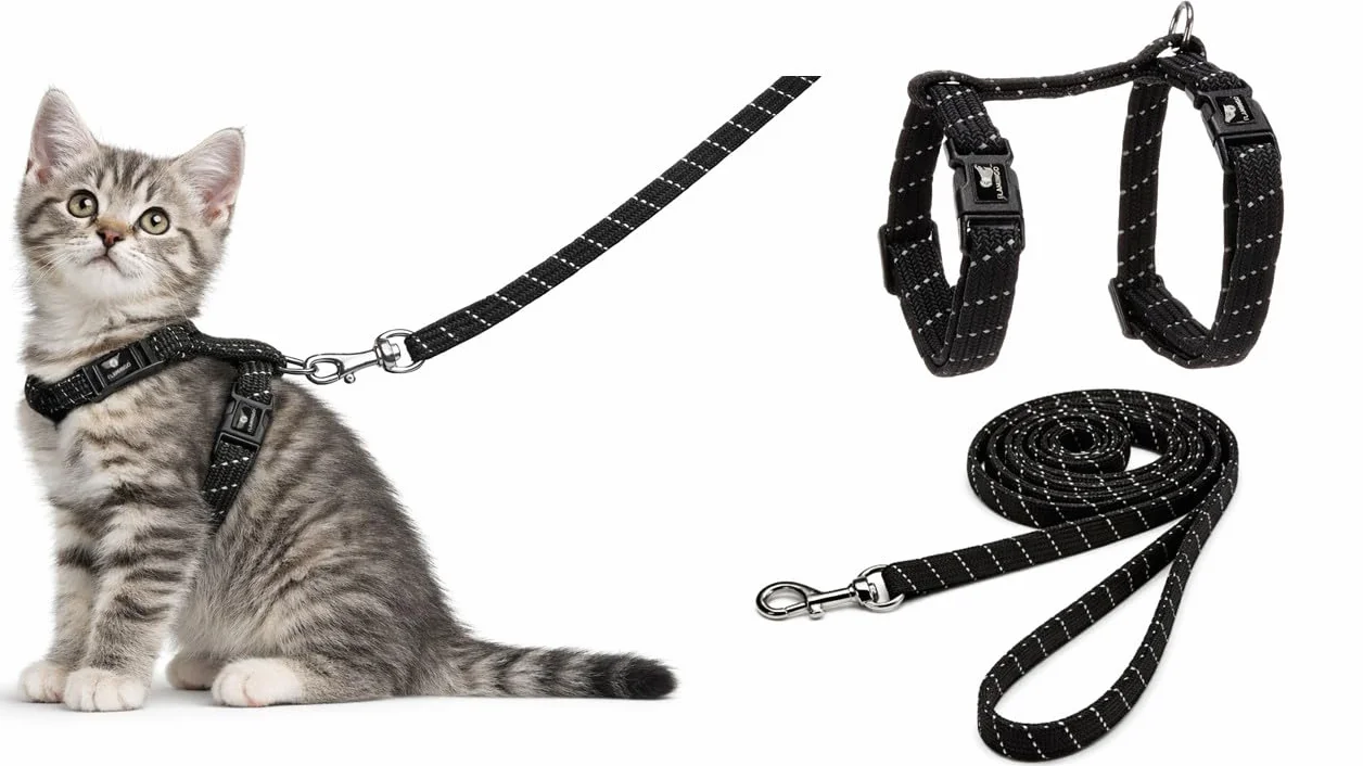 Harnais pour Chat Elza Noir 15-22cm 20-30cm Laisse 120cm Nylon réglable réfléchissant Mousqueton