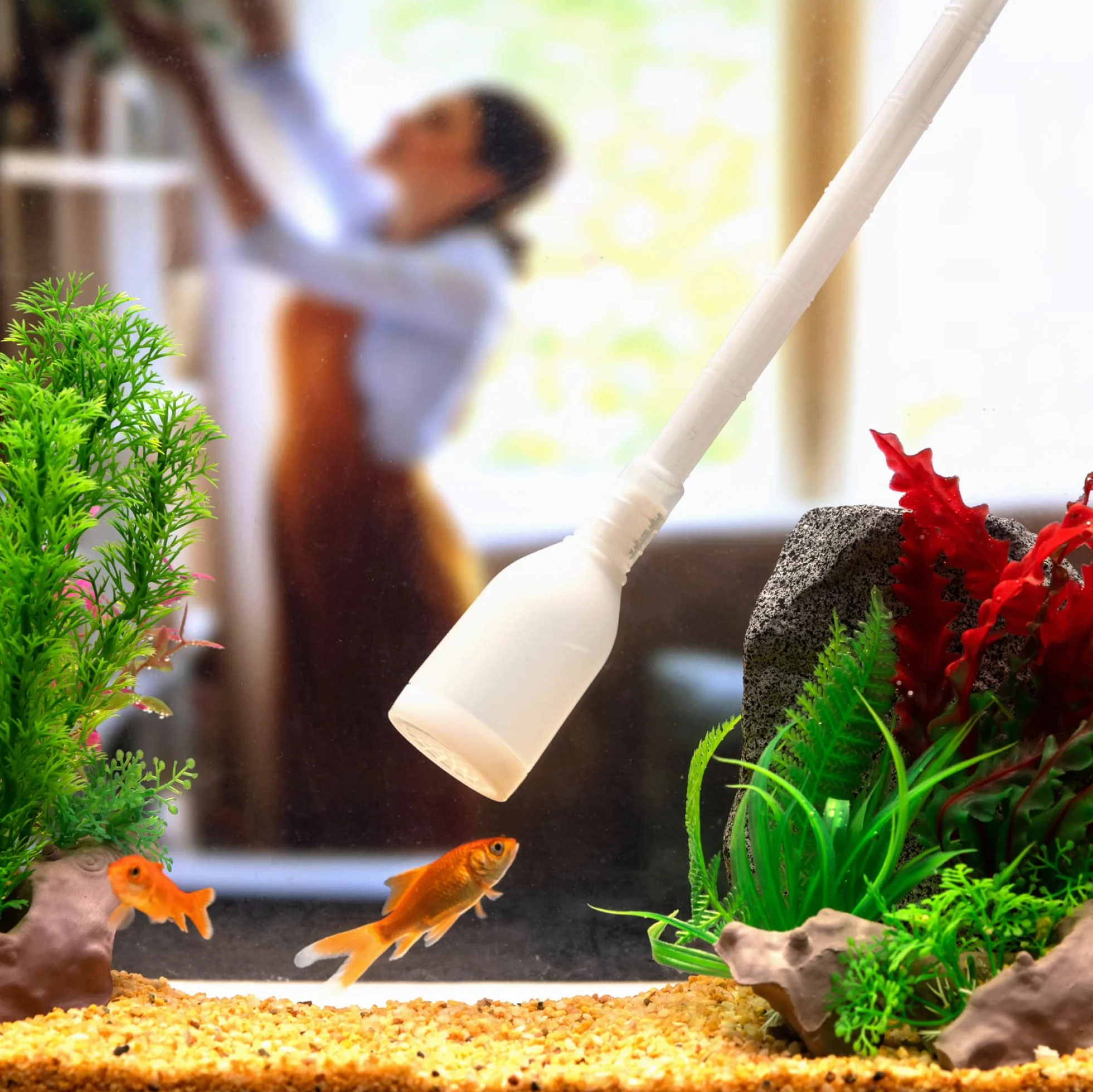 Luigi's Aspirateur Aquarium Kit Pompe Nettoyage Siphon Puissant Vidange Complète Filtre Gravier