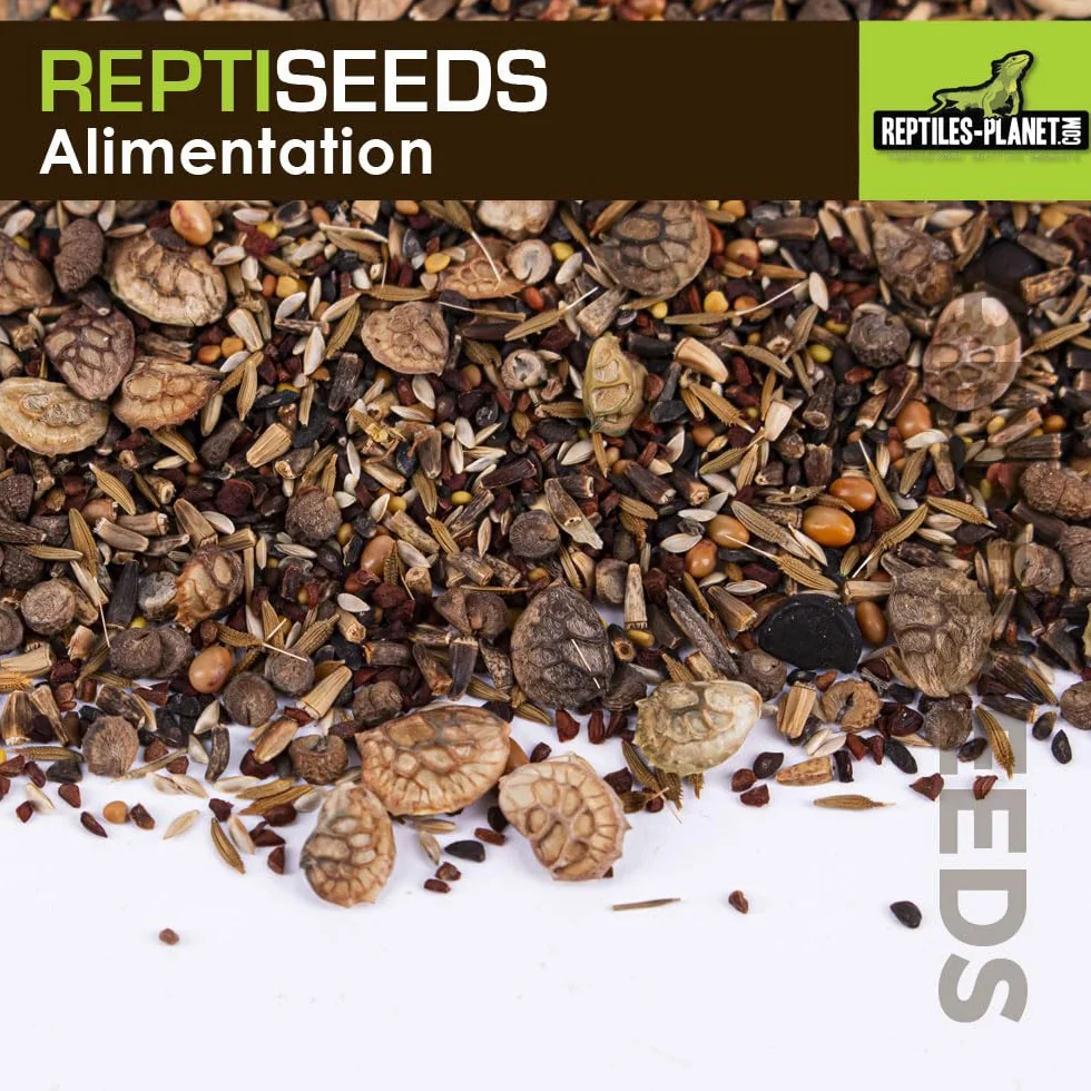Reptiles Planet Reptiseeds Mélange de Graines à Germer pour Tortue Terrestre 40 g