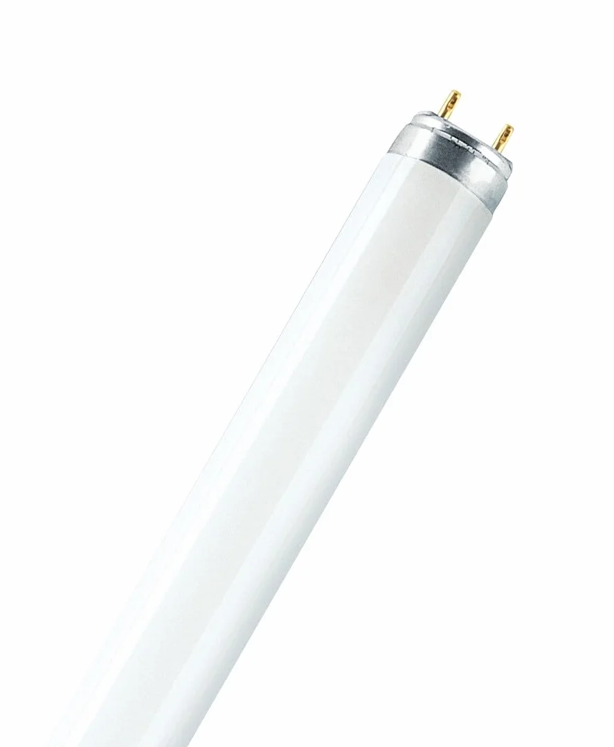 Tube fluorescent T8 36W 6500K 1200 mm éclairage commercial domestique blanc froid