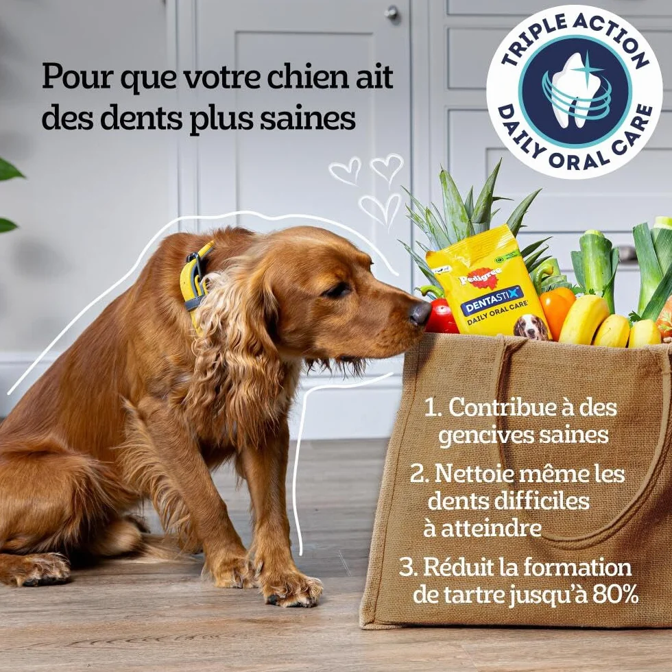 Pedigree DENTASTIX 56 Bâtonnets à Mâcher pour Grand Chiens 25kg+, 8 Sachets de 7, Saveur Poulet et Bœuf