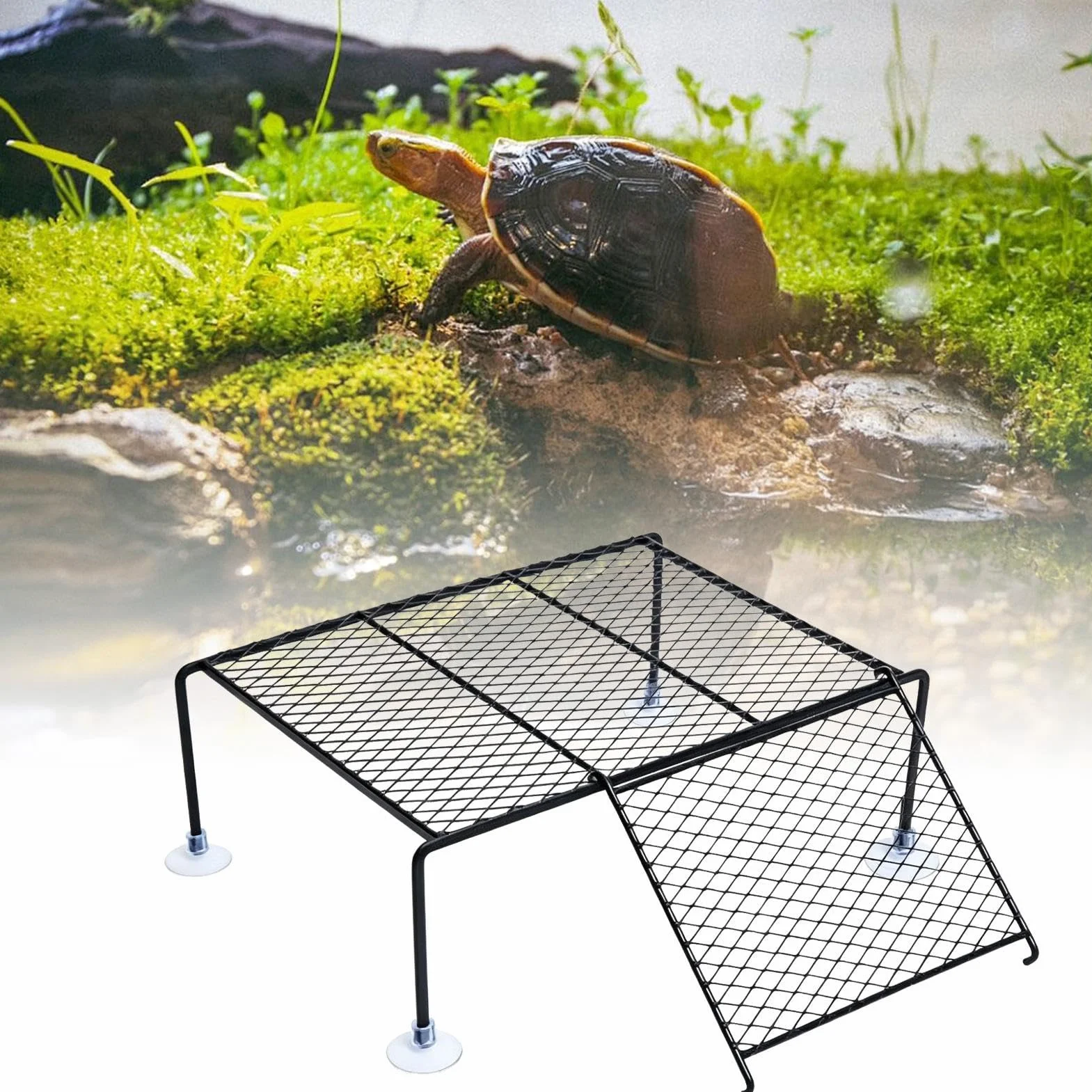 Plateforme solaire pour tortues d'eau - Île de repos avec rampe à ventouse, aquarium