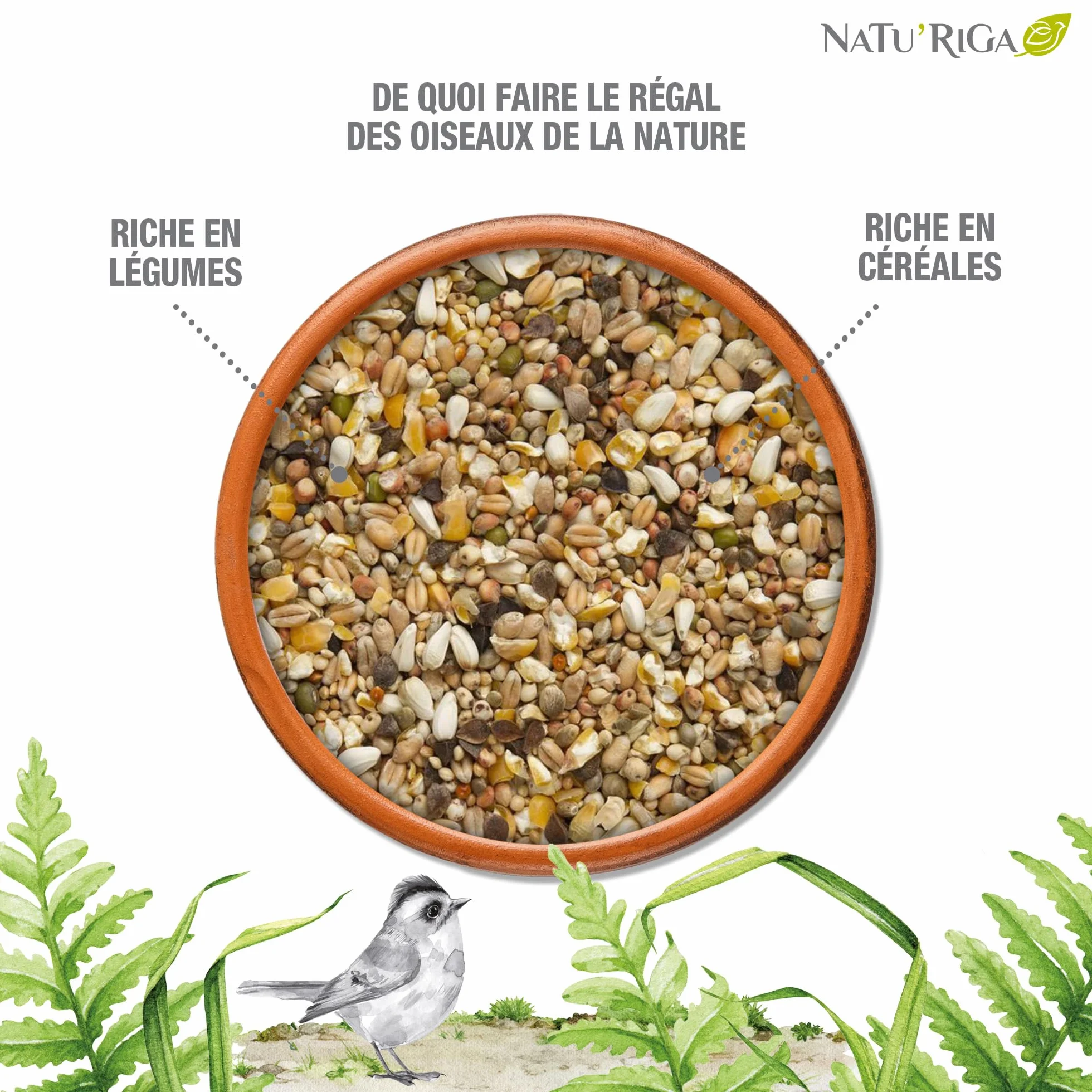 NATU'RIGA Mélange Tourterelles Nourriture Oiseaux Extérieur 2KG