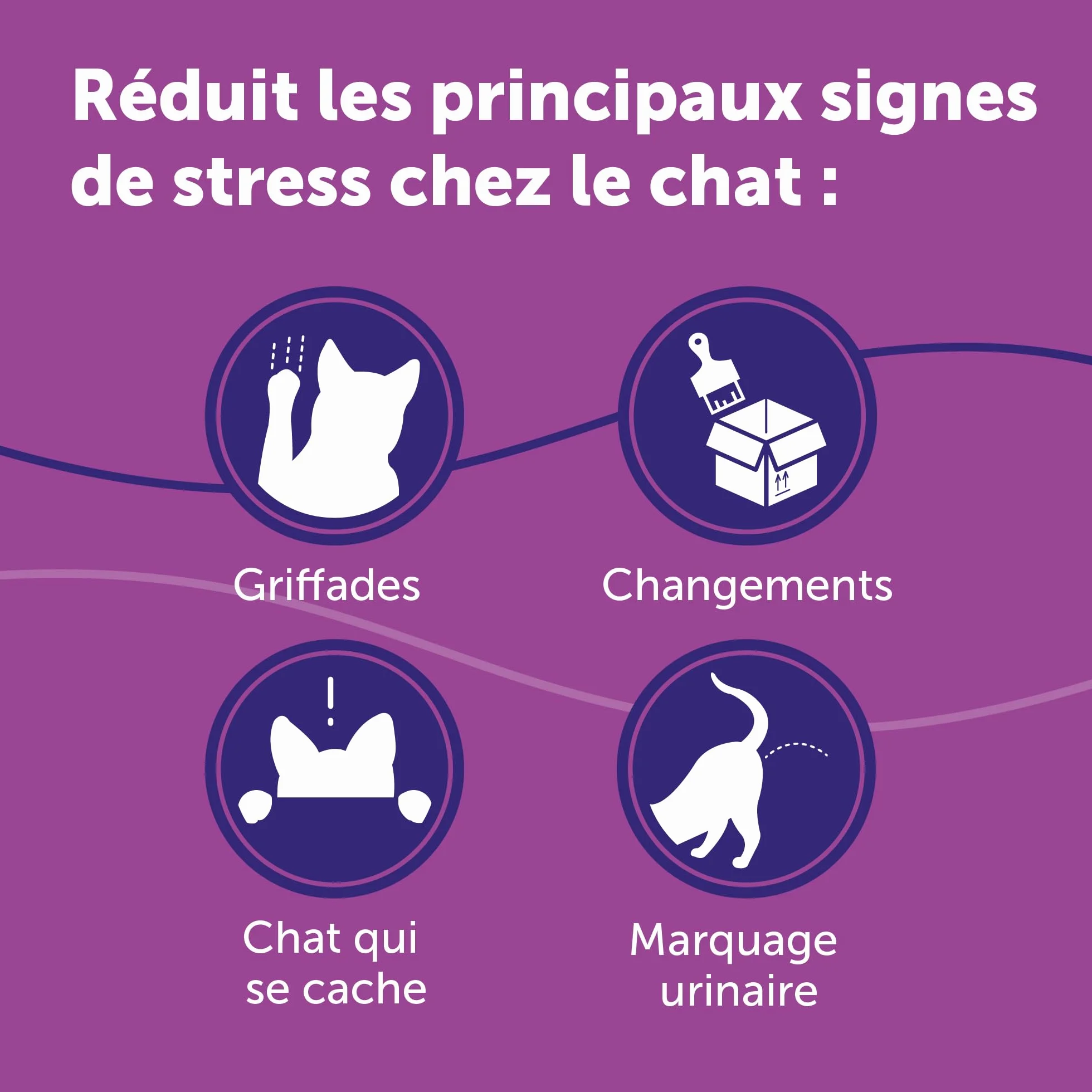 FELIWAY Classic Anti-Stress pour Chat Pack économique 3 recharges 3x30 Jours