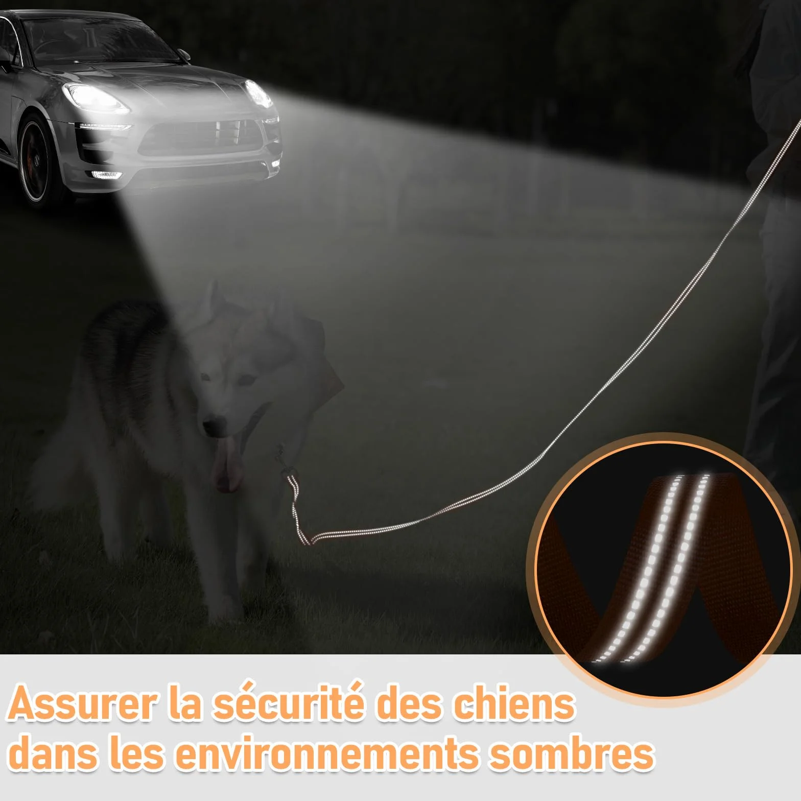 XBEN Longe pour Chien 15M Laisse de Dressage Rembourrée Durable Léger avec Boucle