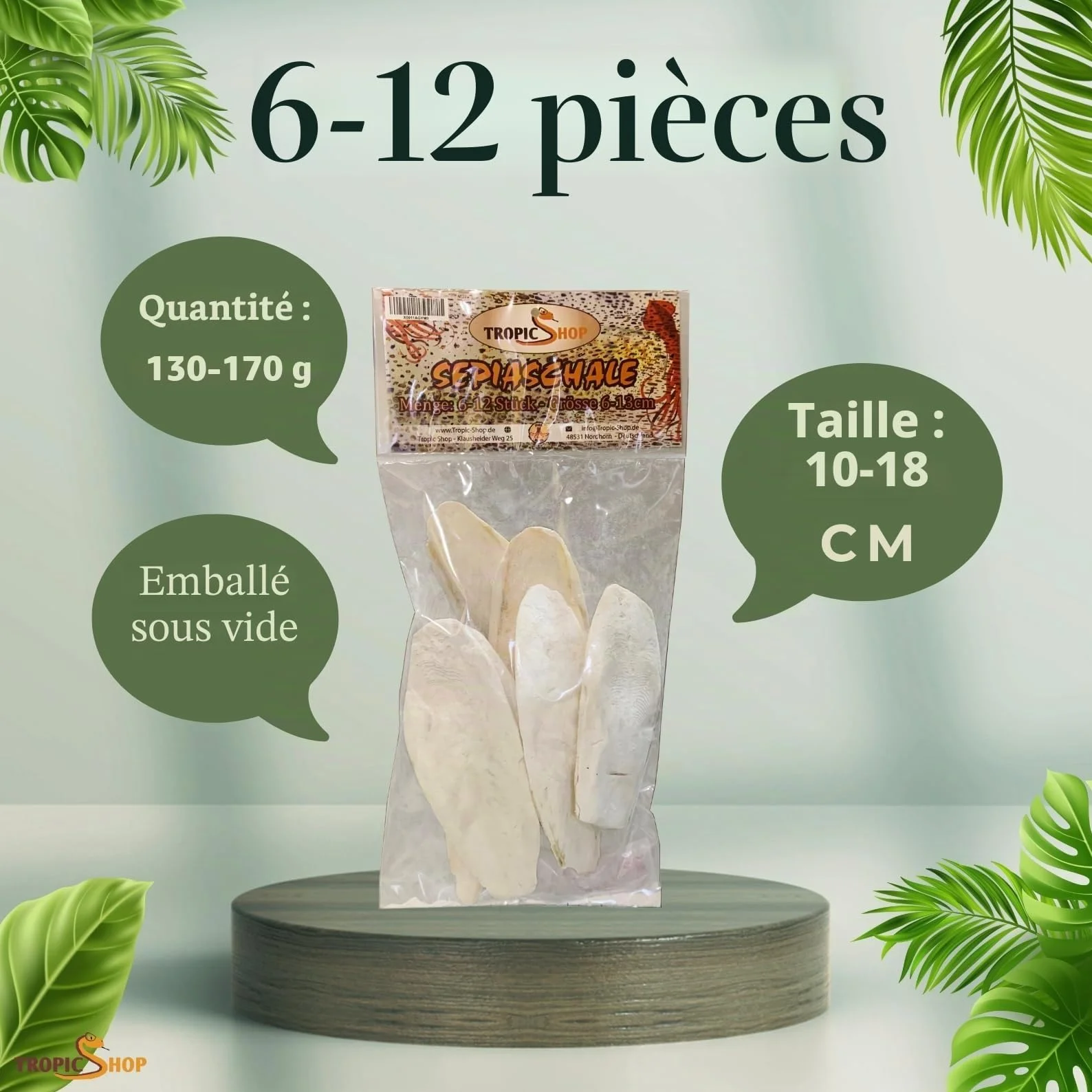 Sépia Rigide la Source Calcium Naturelle 6 – Lot de 10 pour Tortues, pogonas, Oiseaux