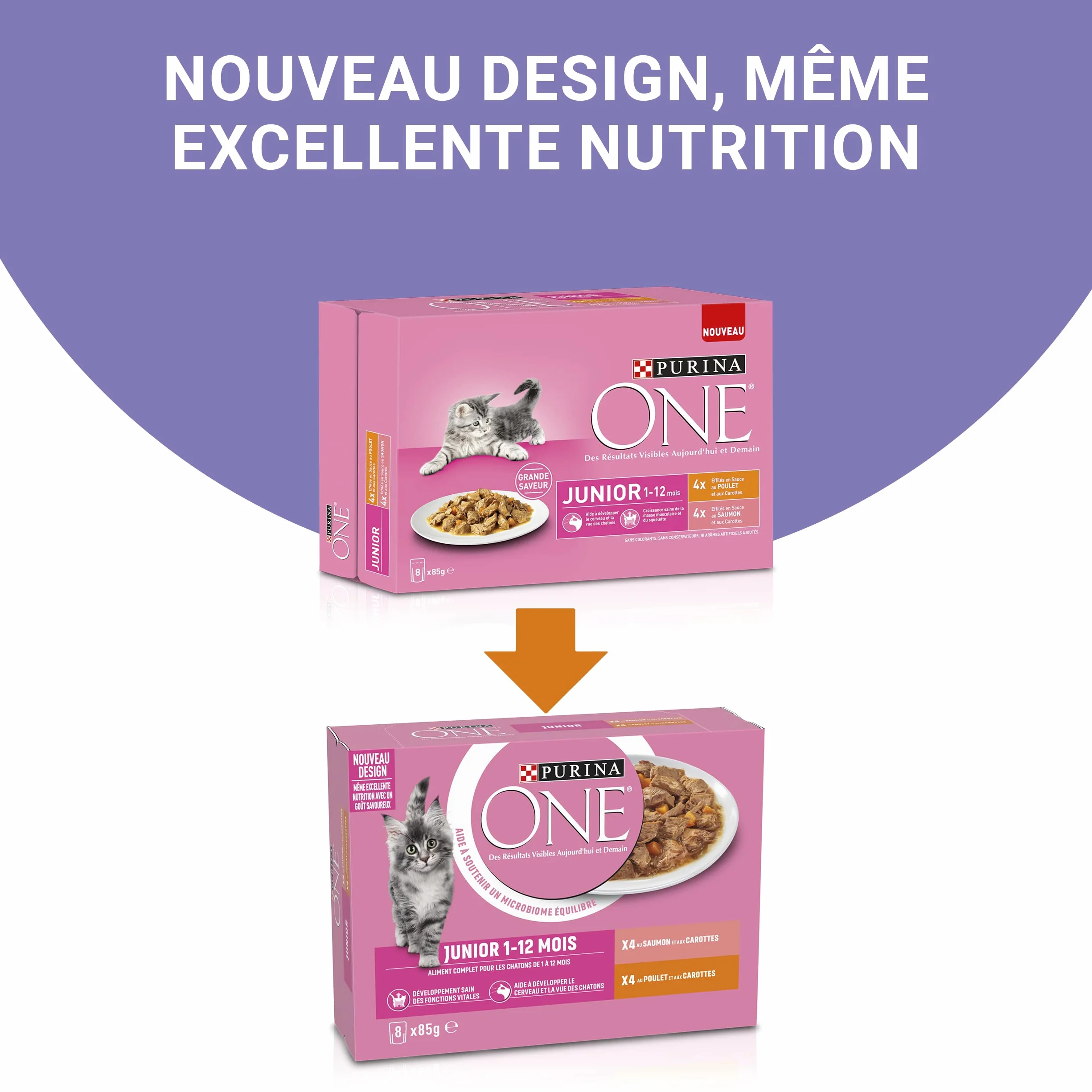 PURINA ONE Chat Kitten Effilés Sauce Saumon Poulet 8x85g