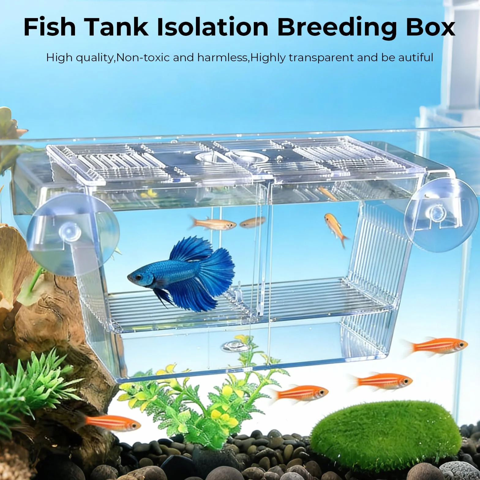 Boîte de Culture de Poissons, Couveuse Aquarium Acrylique Transparente avec Ventouses, Bac Alevins Autoflottant