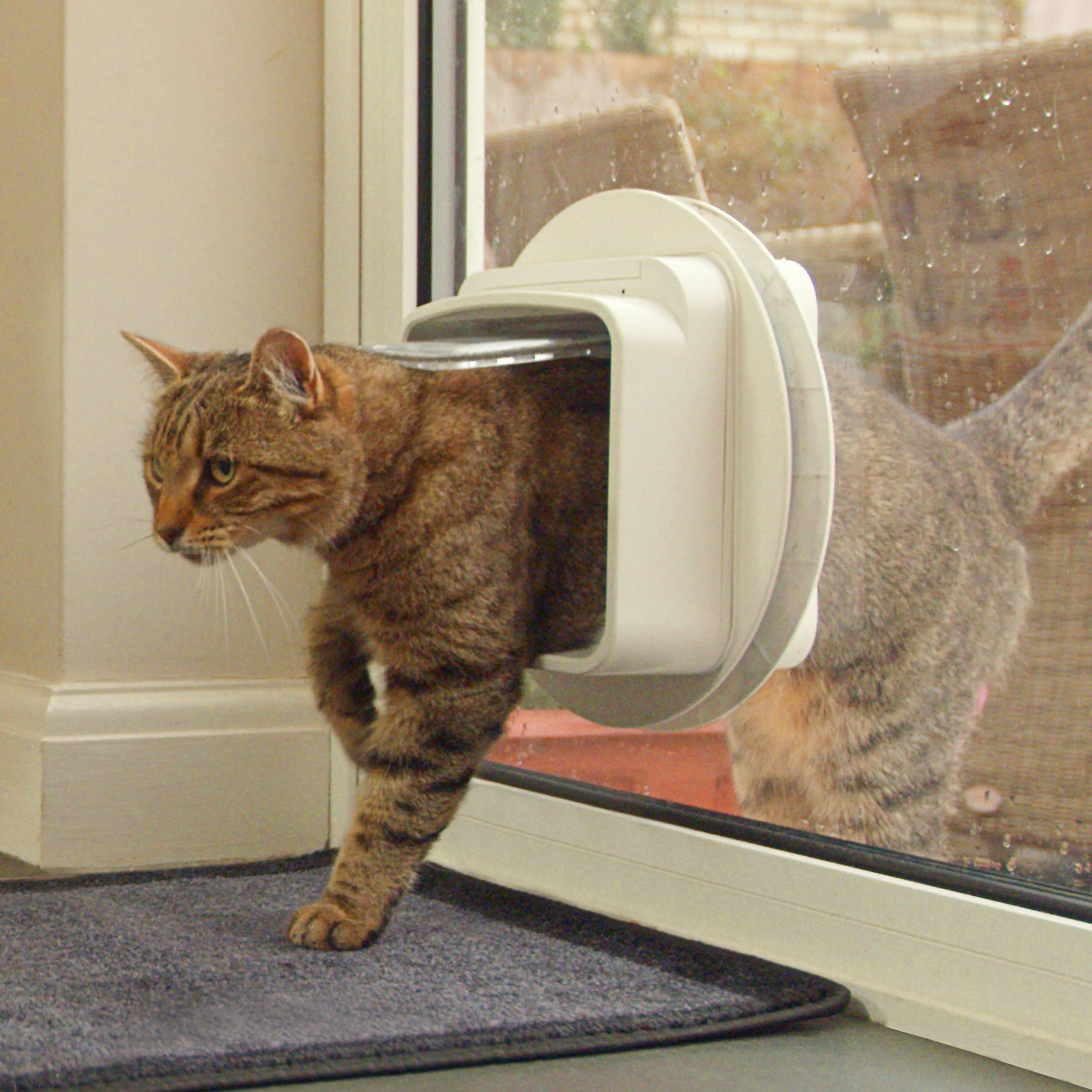 SureFlap Chatière à Puce électronique DualScan Sure Petcare, Compatible avec médaillon RFID et puces, pour Portes, fenêtres, Murs, Blanc