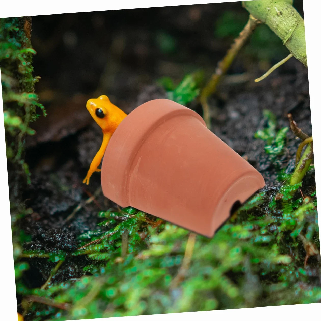 Cachette De Tortue en Argile 2 Pièces Abri Durable pour Reptiles Décoration Terrarium
