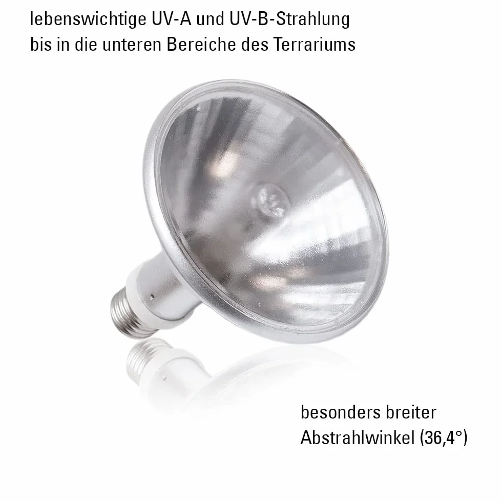 ECONLUX SolarRaptor HID-Lamp