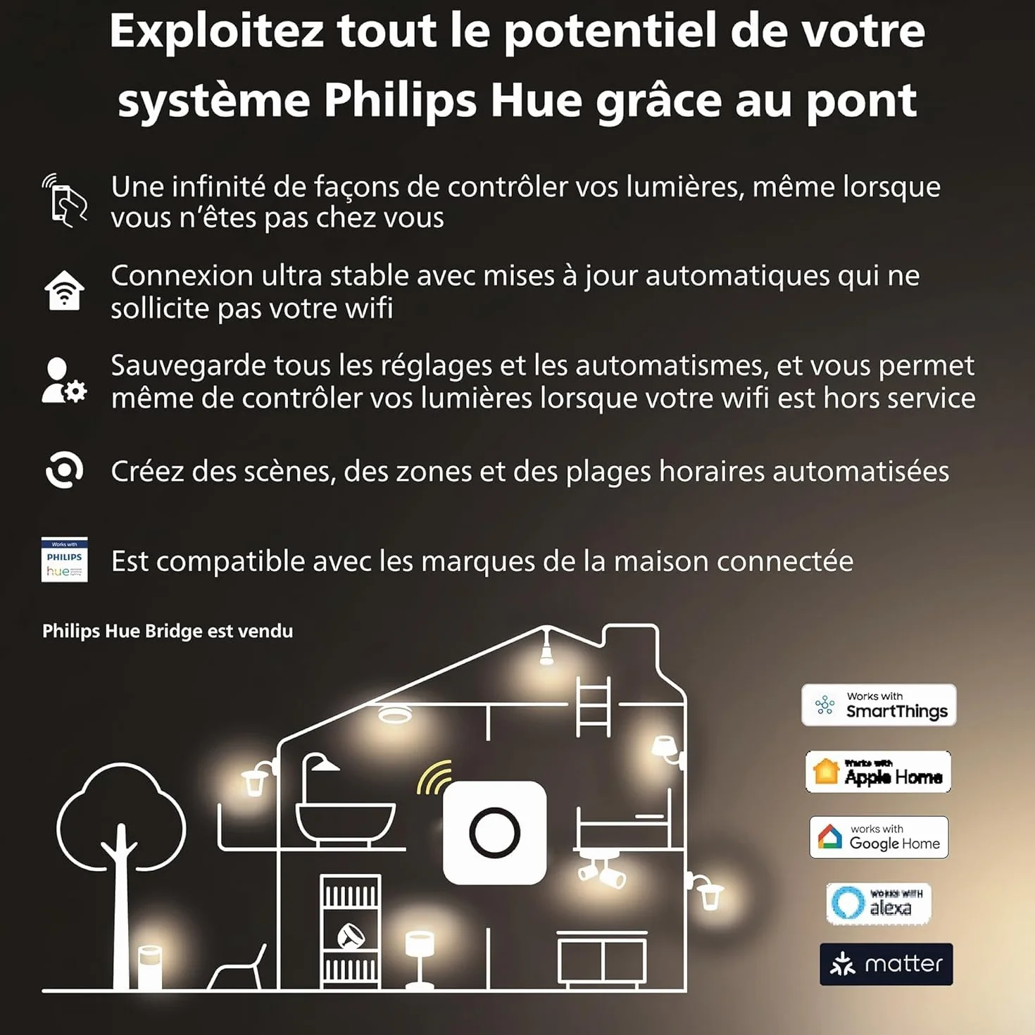 Philips Hue White E27 ampoule 1055lm dimmable lumière blanche chaude compatible Alexa