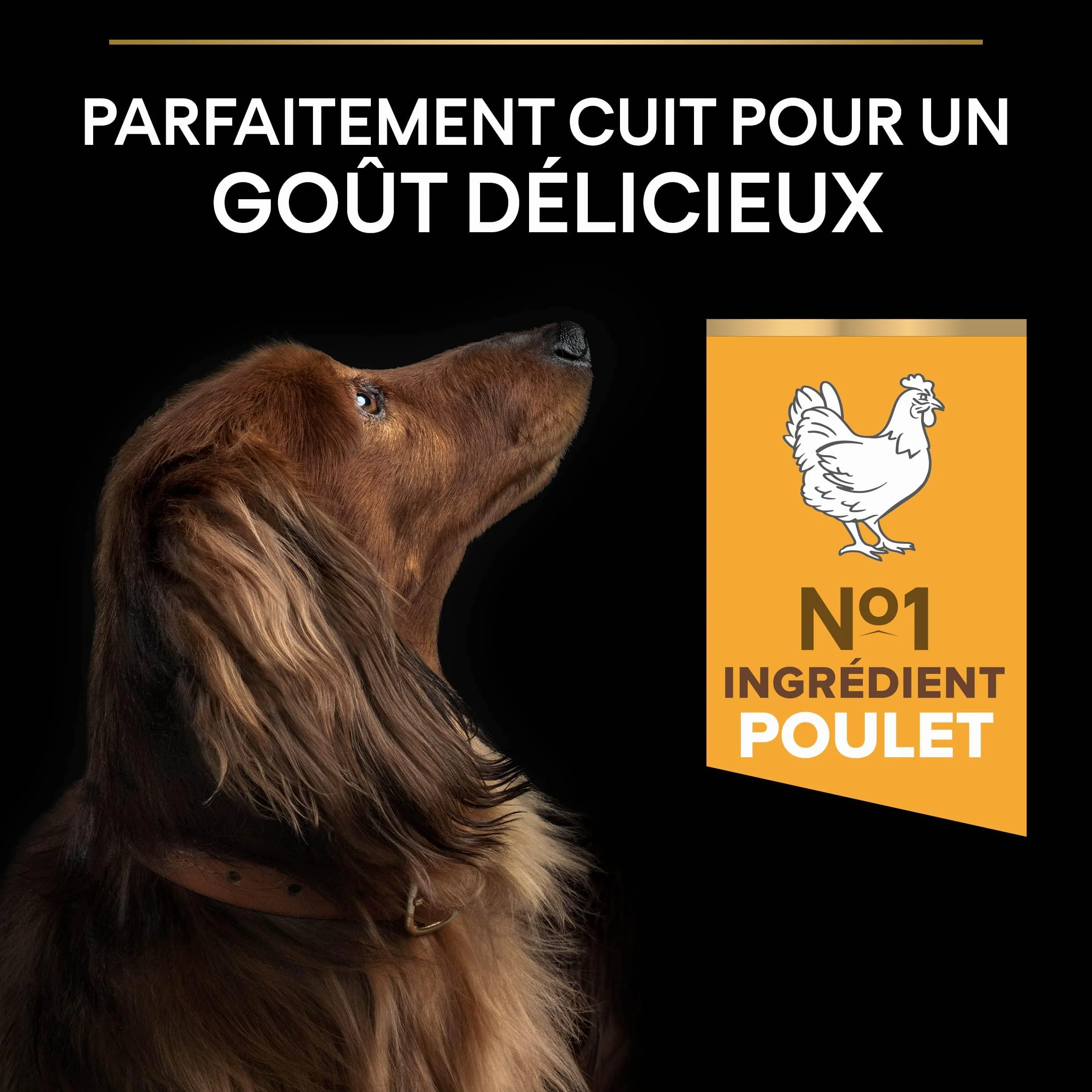 PRO PLAN Small & Mini Adult Light Sterilised Riche en Poulet 3KG Croquettes pour chiens adultes